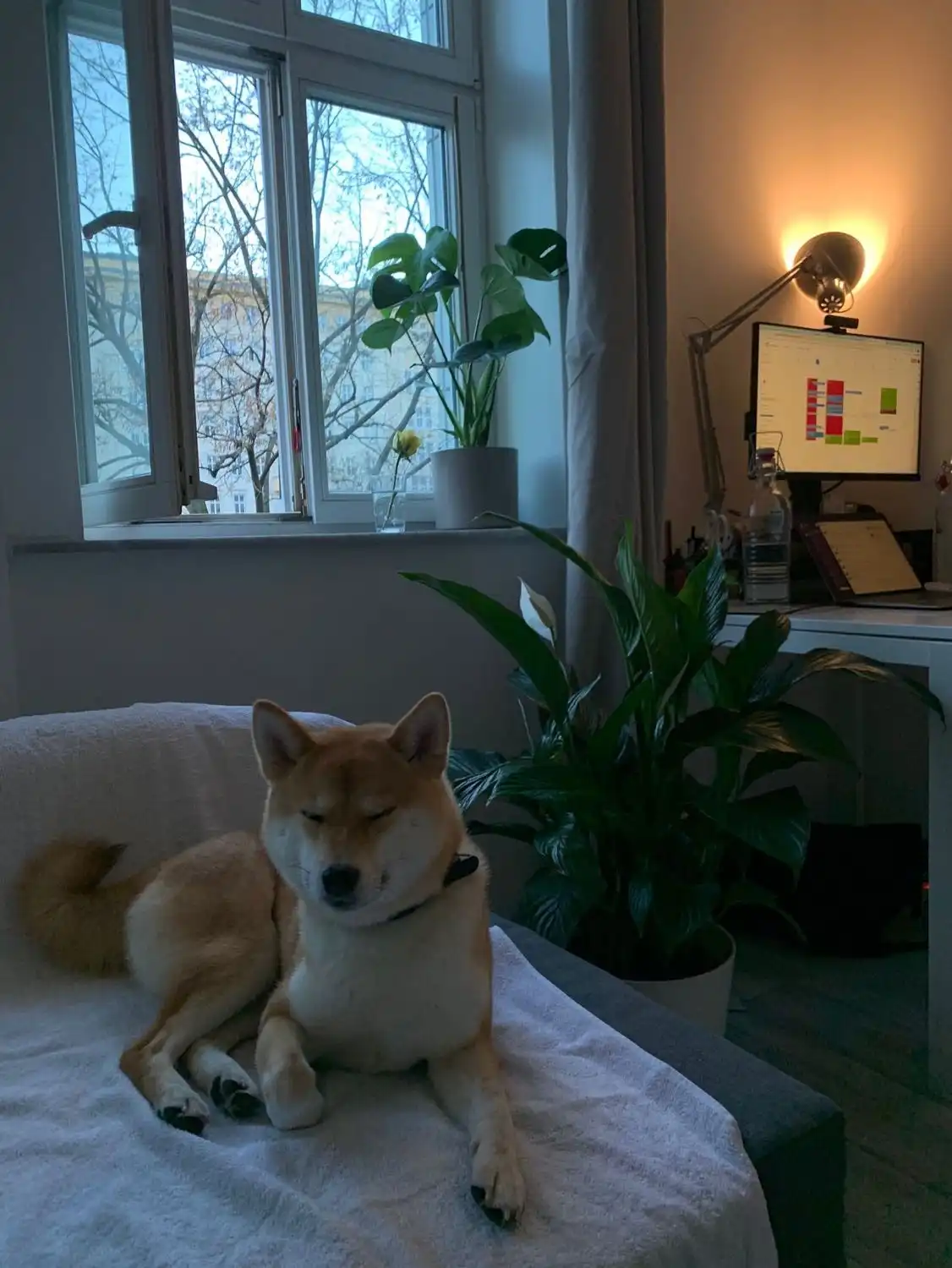 image-13