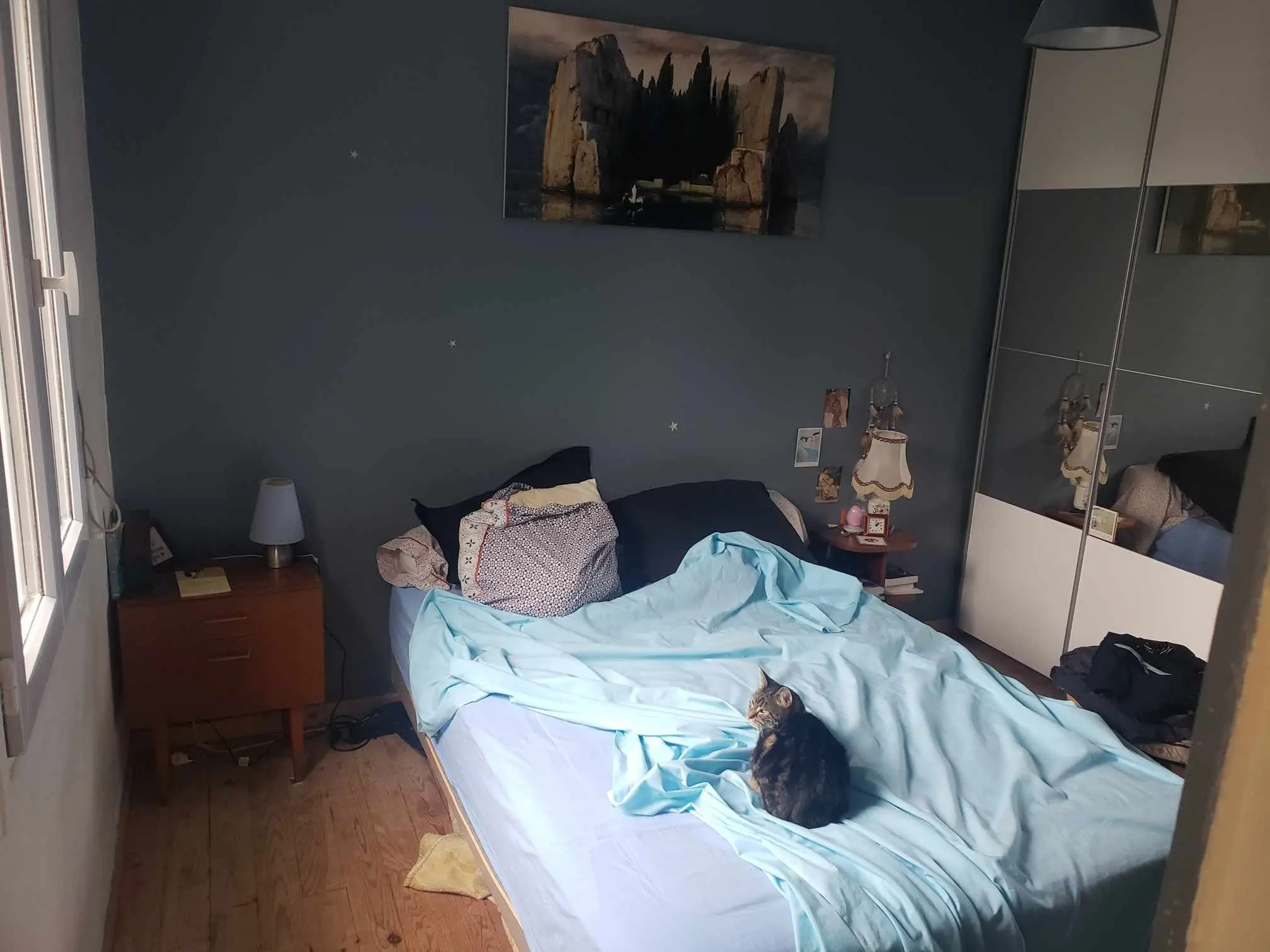 image-4