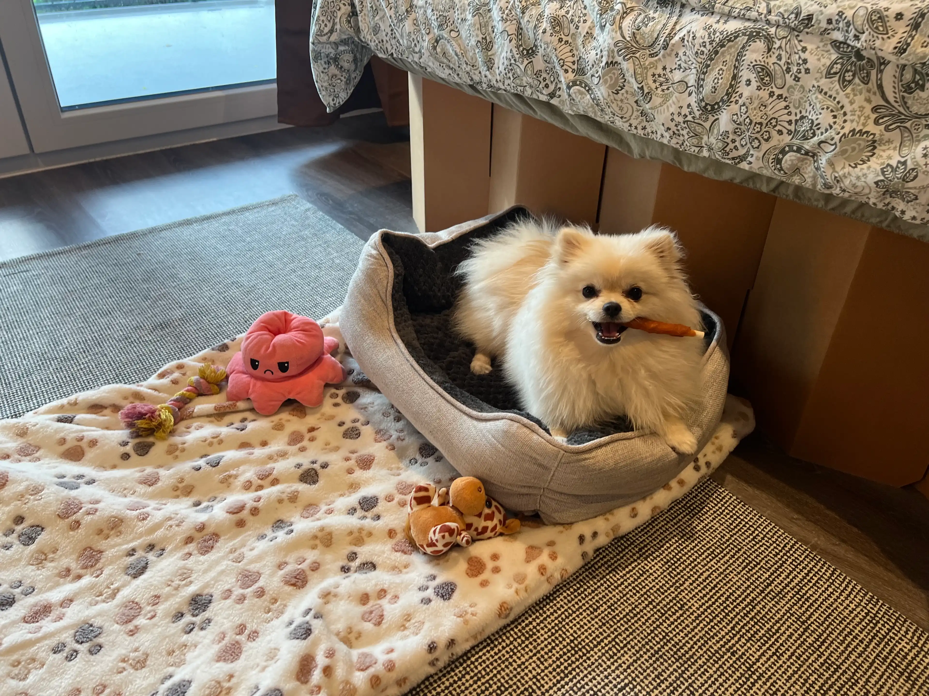 image-18