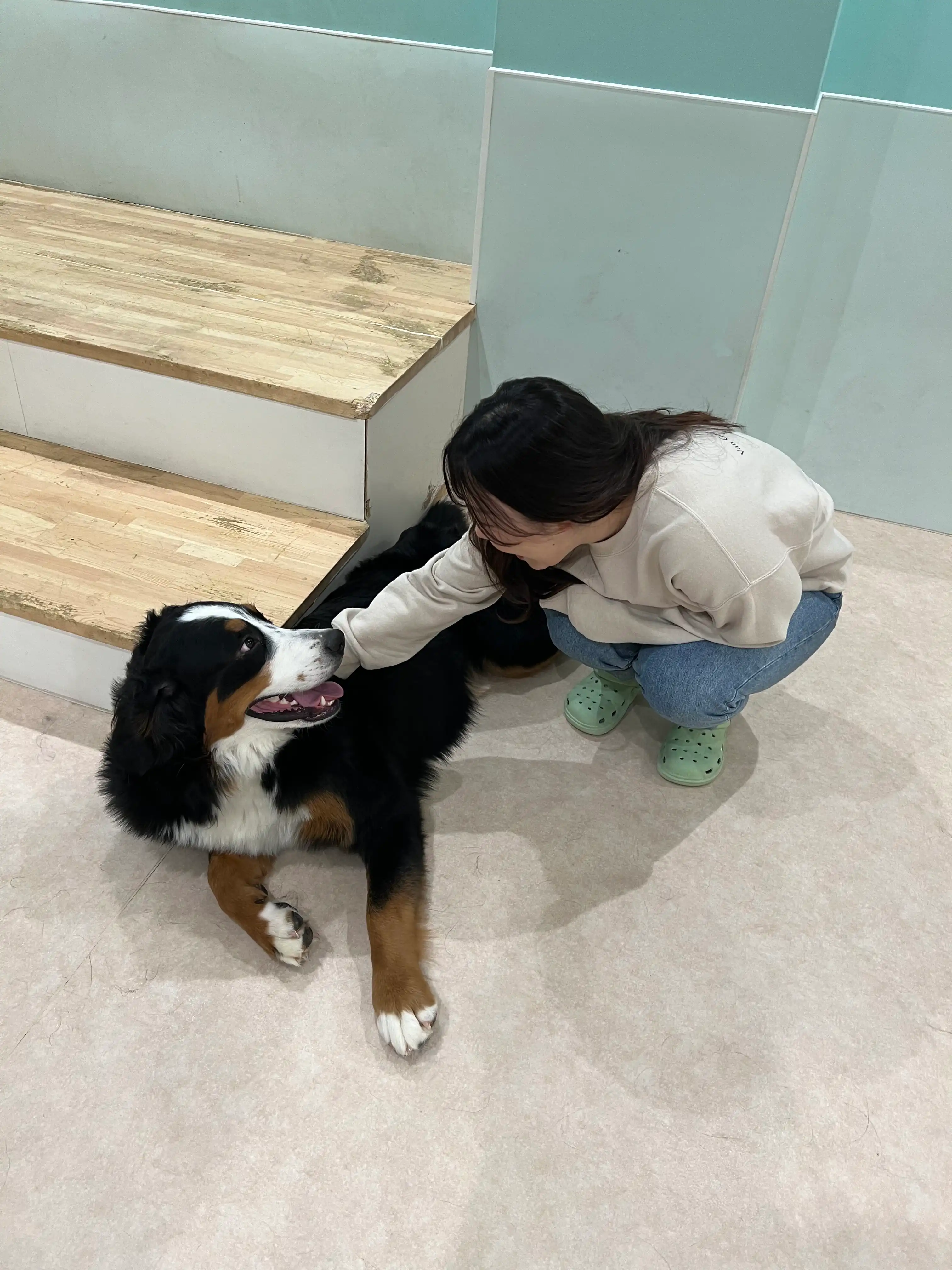 image-8
