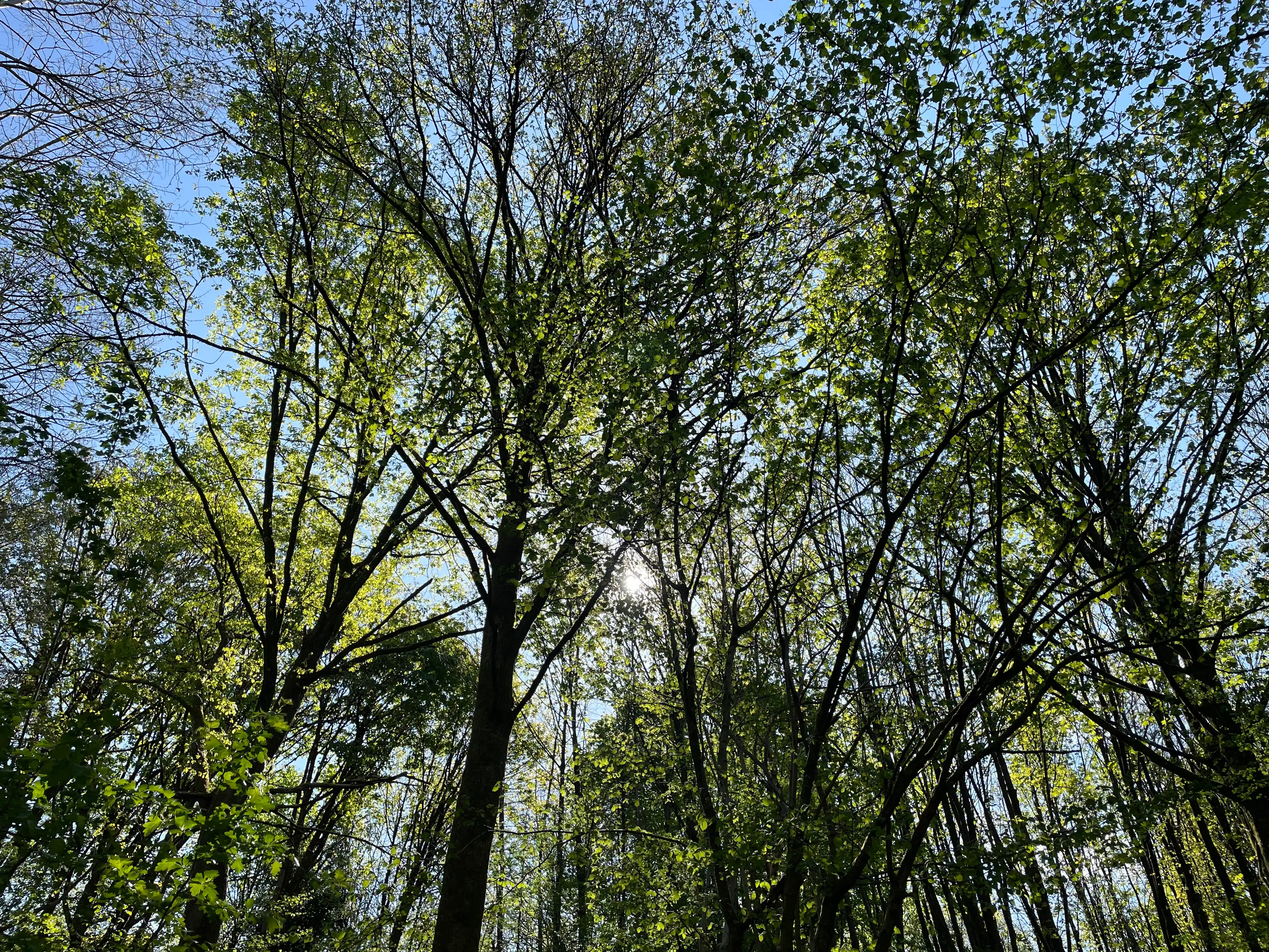 image-19