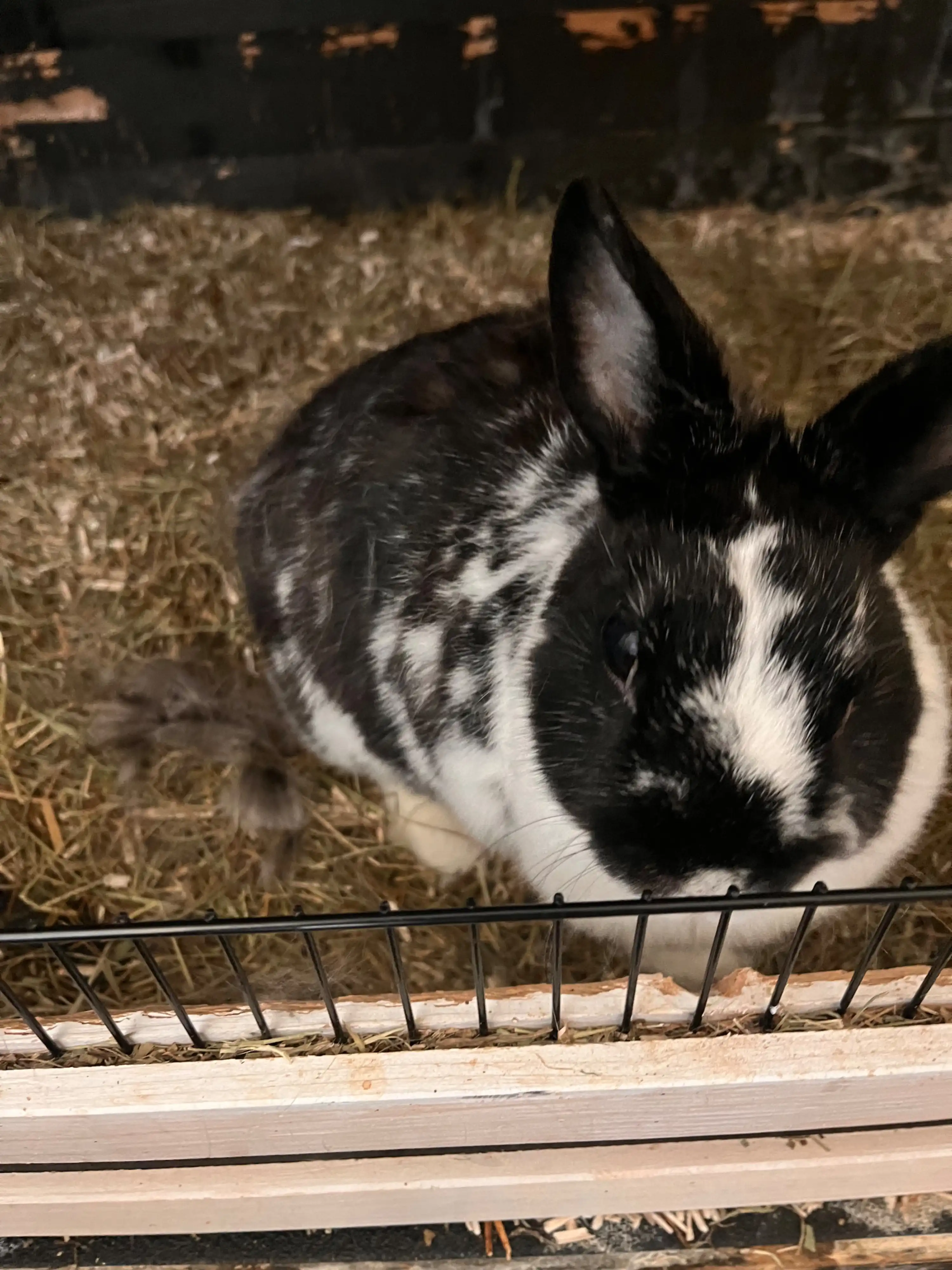 image-14
