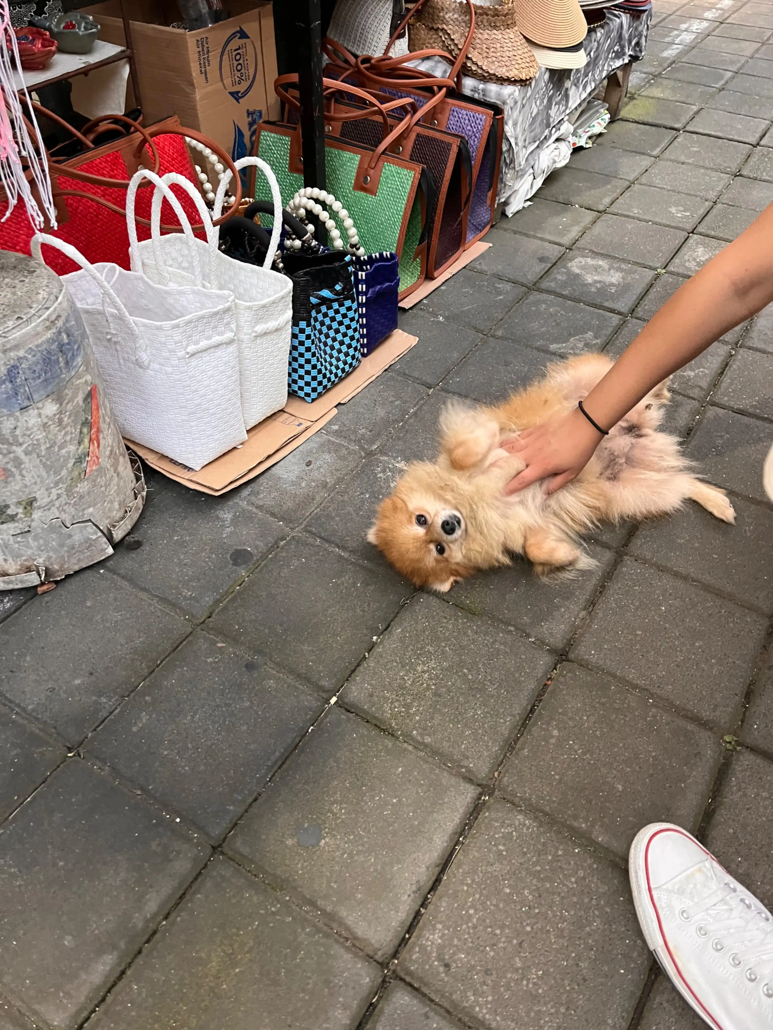 image-18