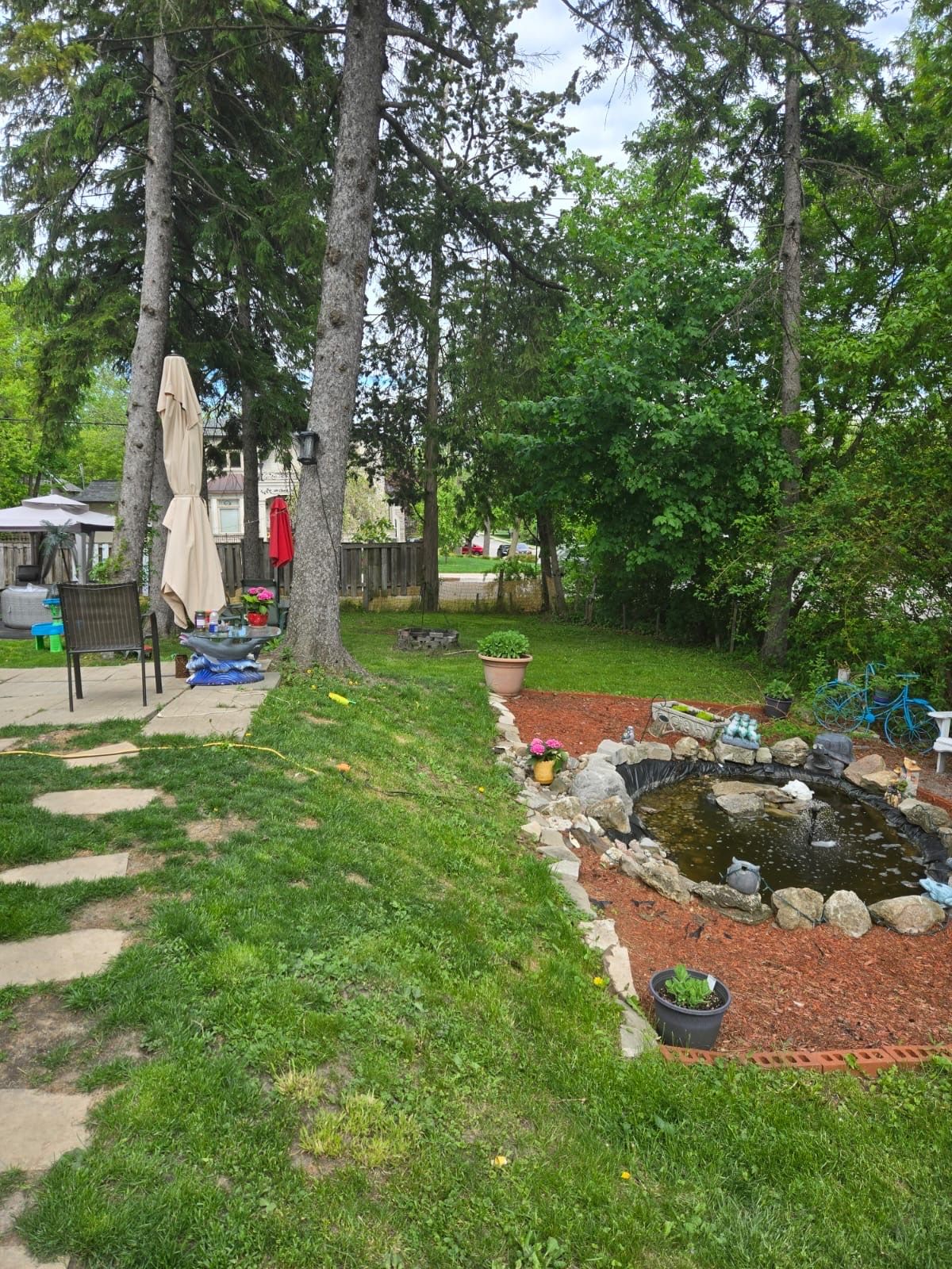 image-20
