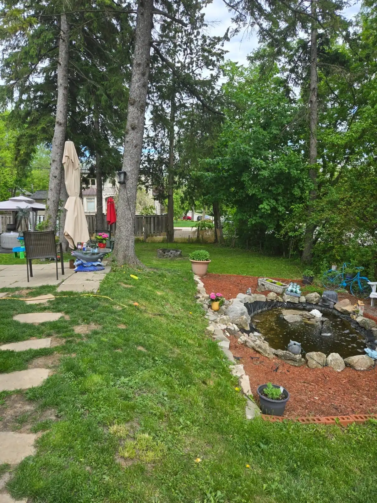 image-20