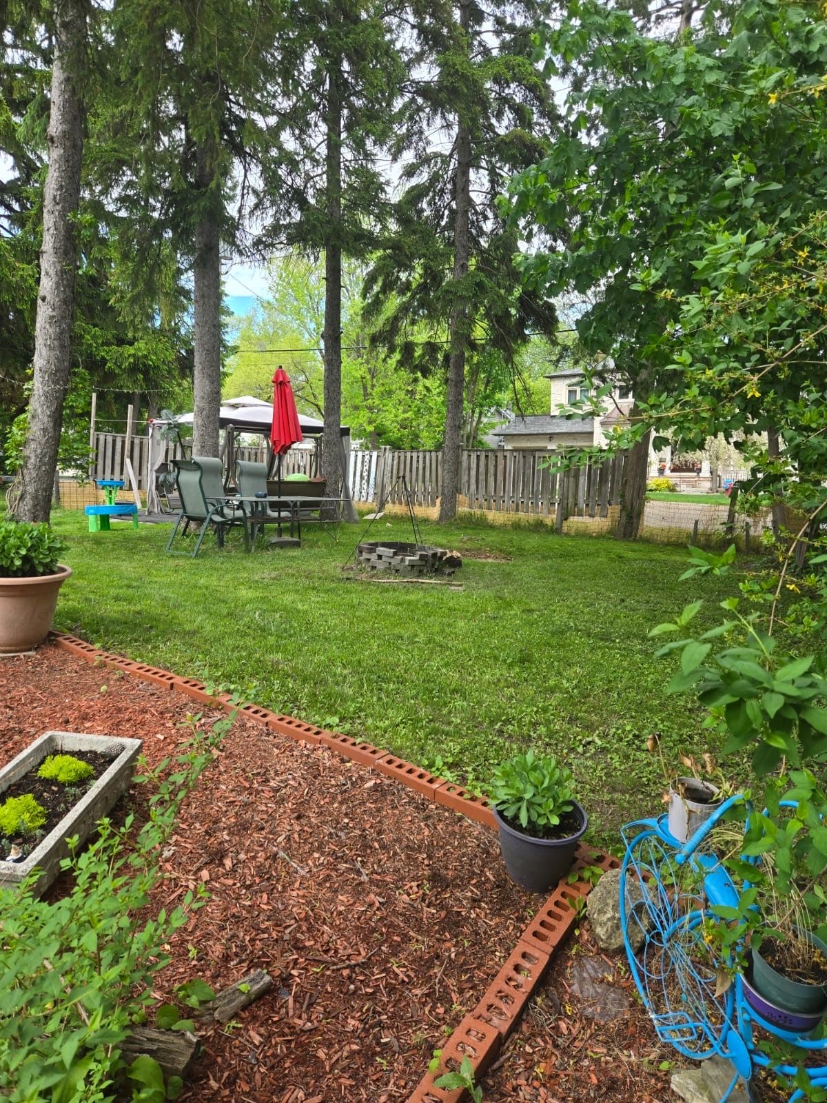 image-18