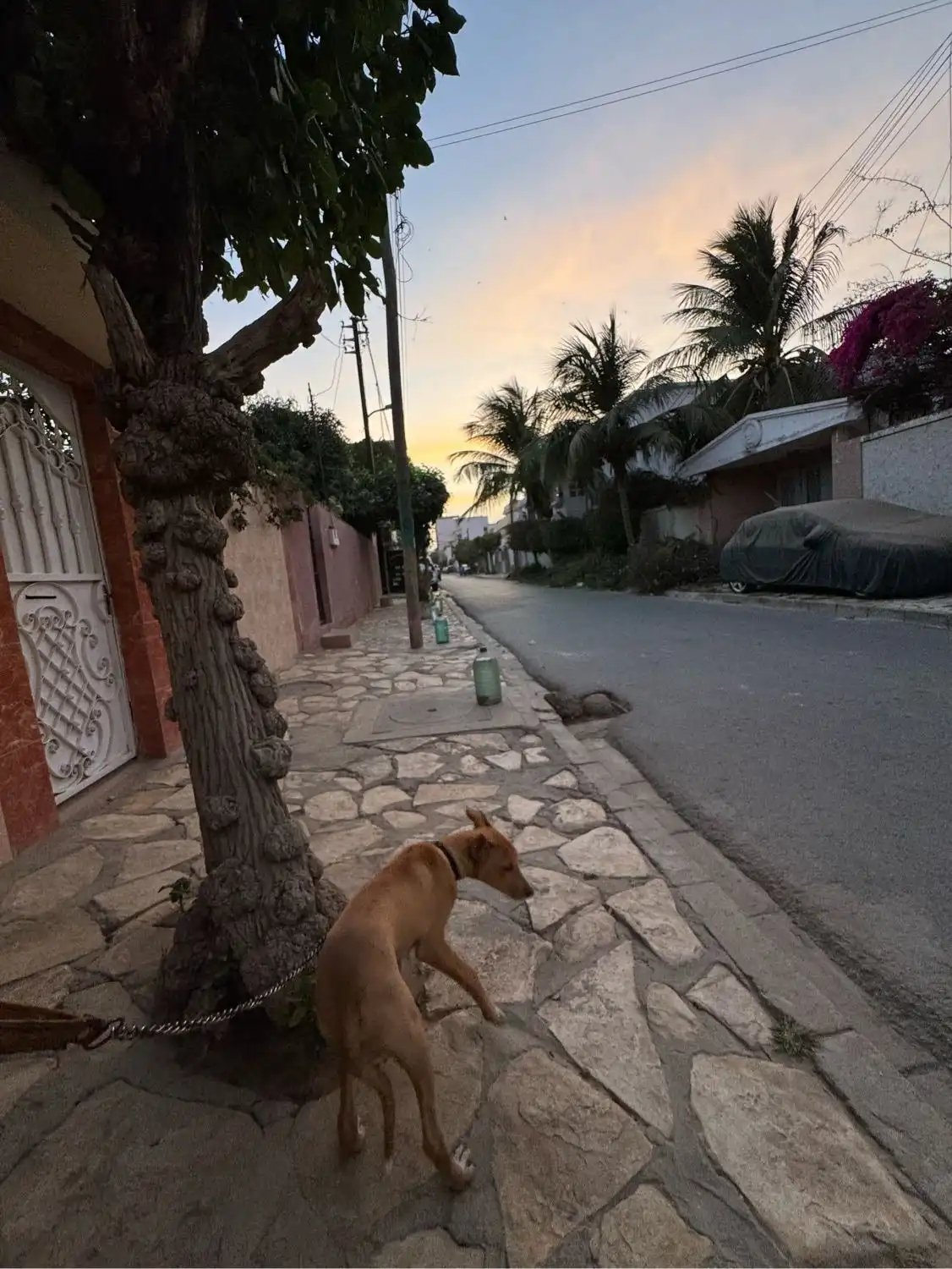 image-5