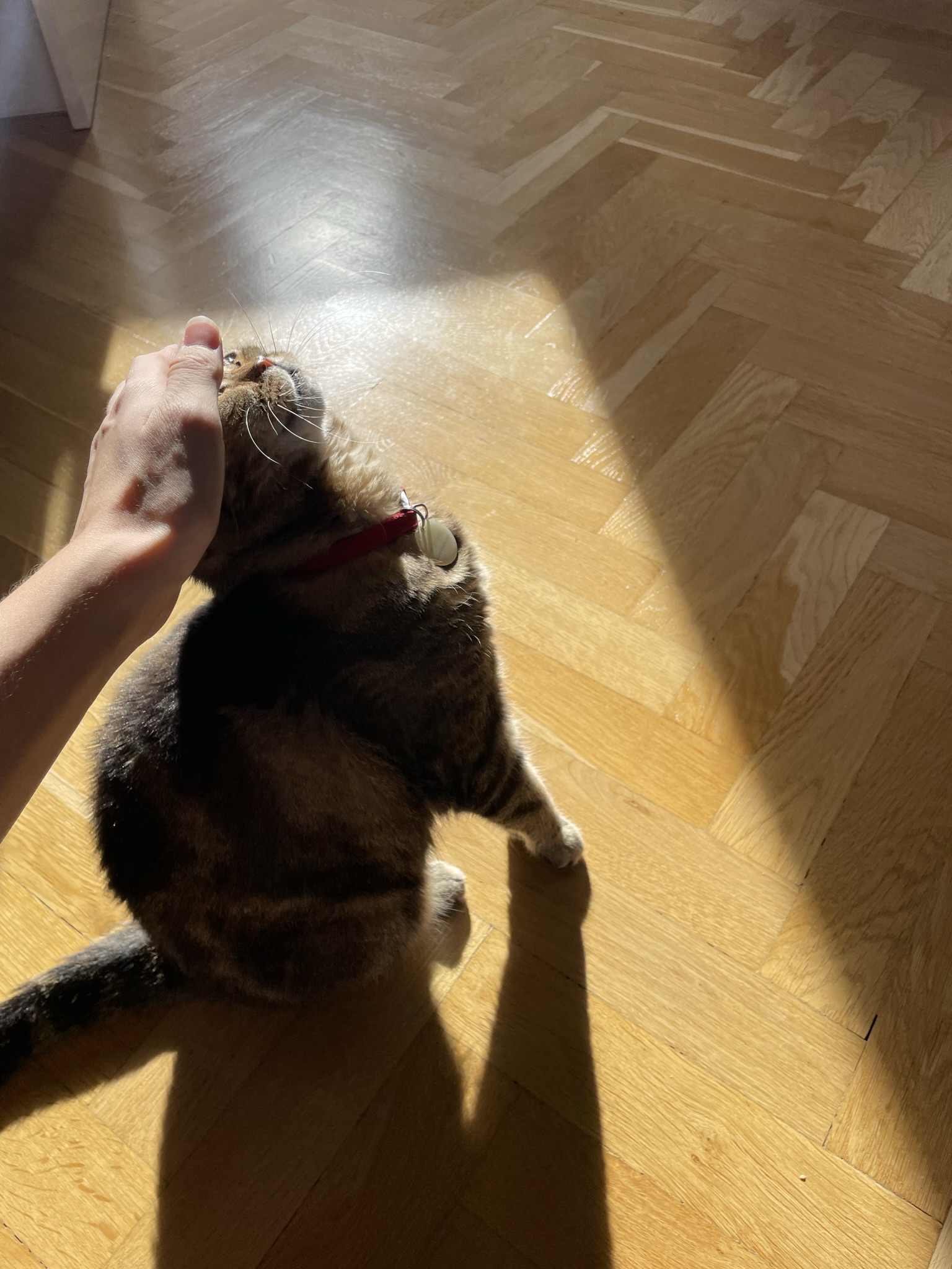 image-10
