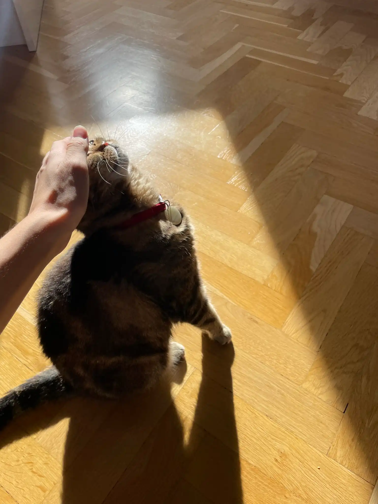 image-10
