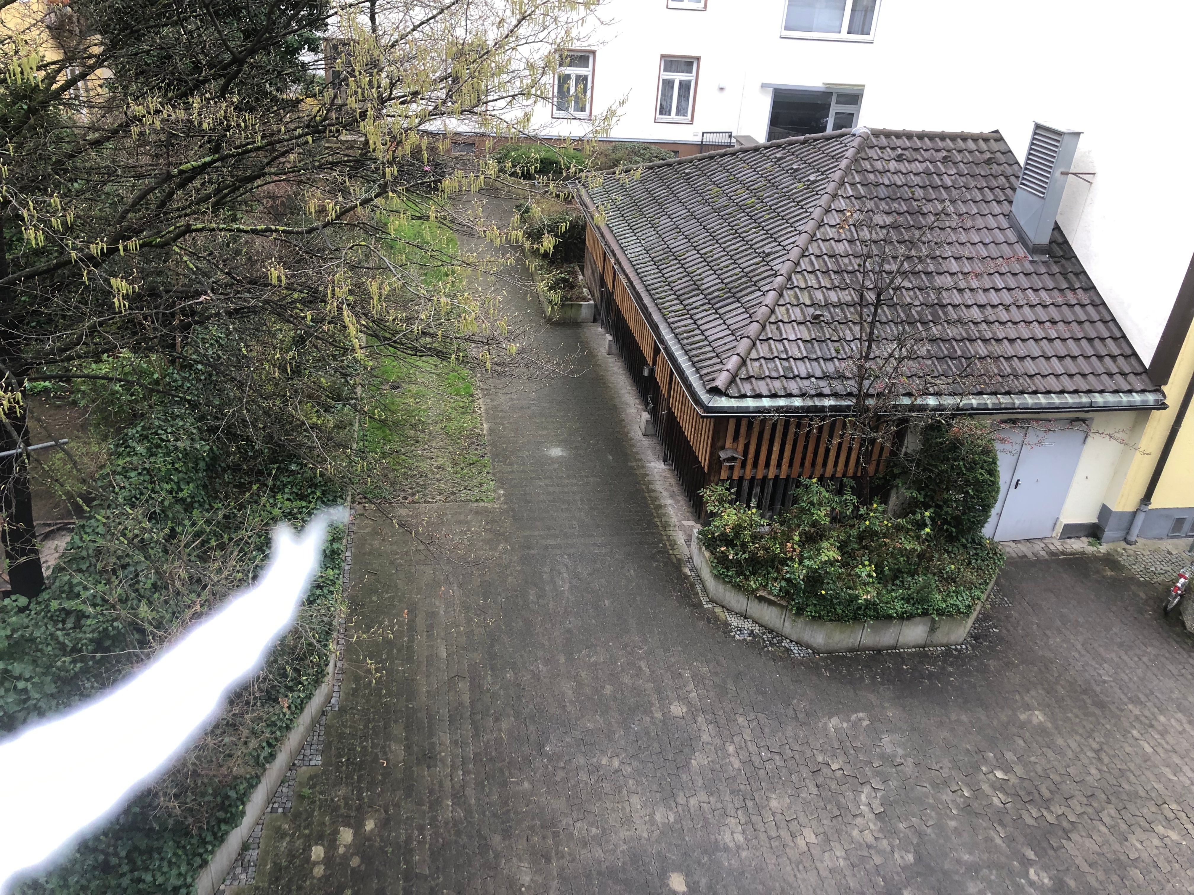 image-19