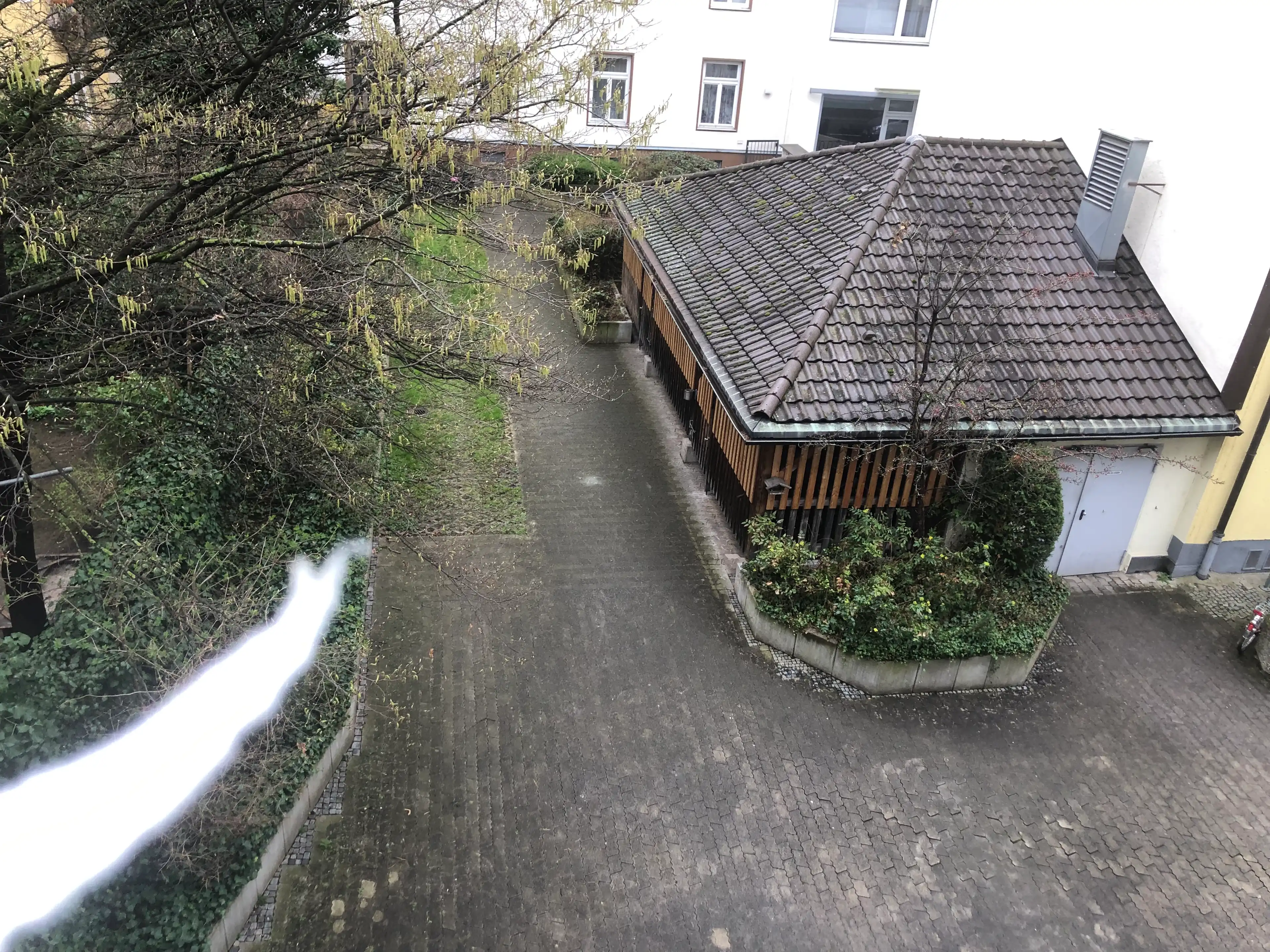 image-19