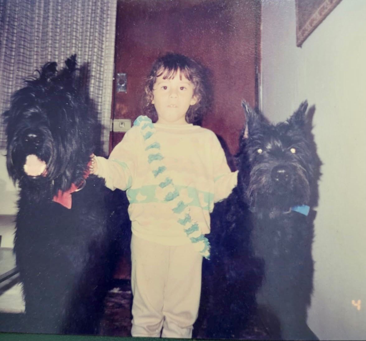 image-7