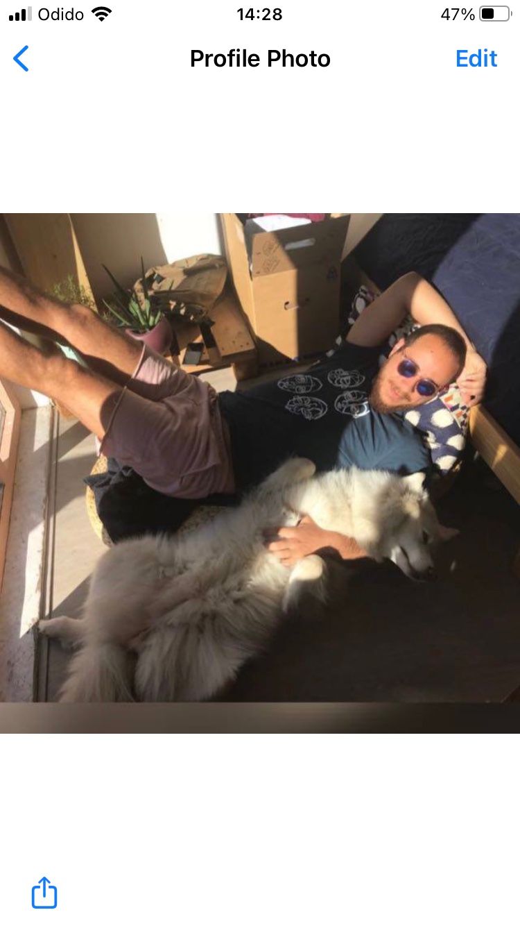 image-6