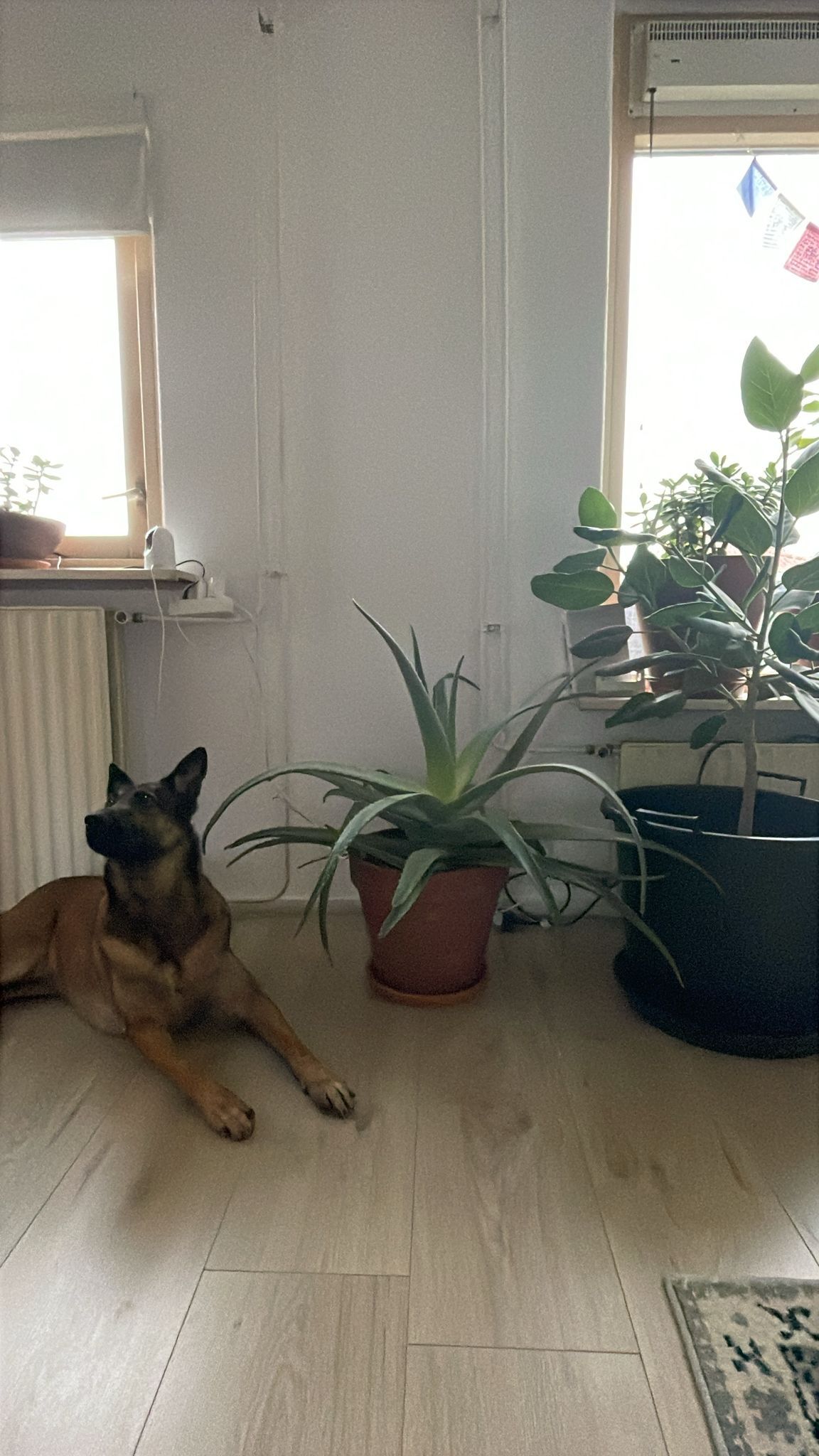 image-14
