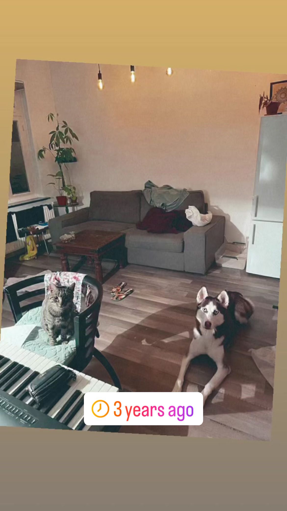 image-17