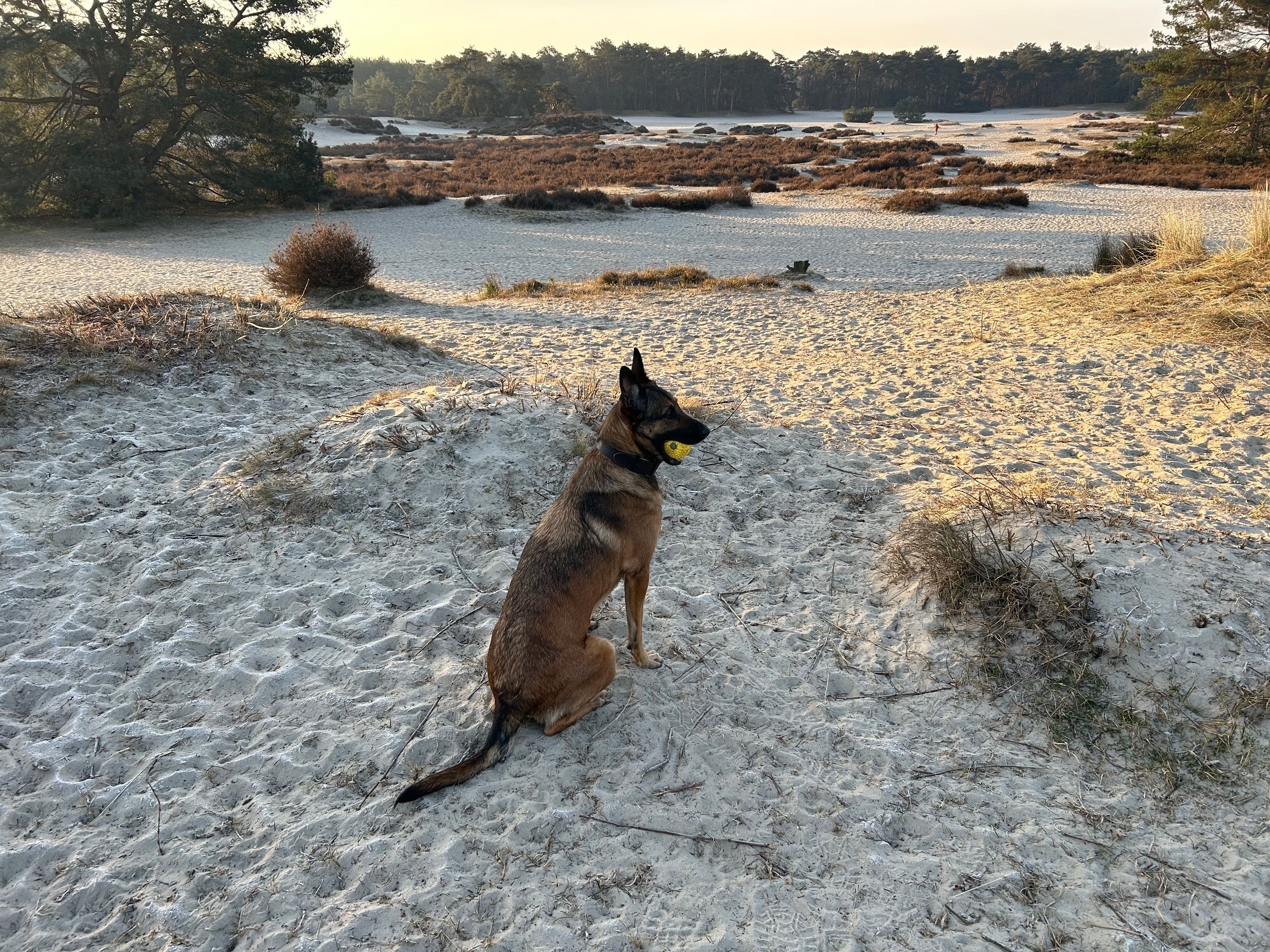 image-13
