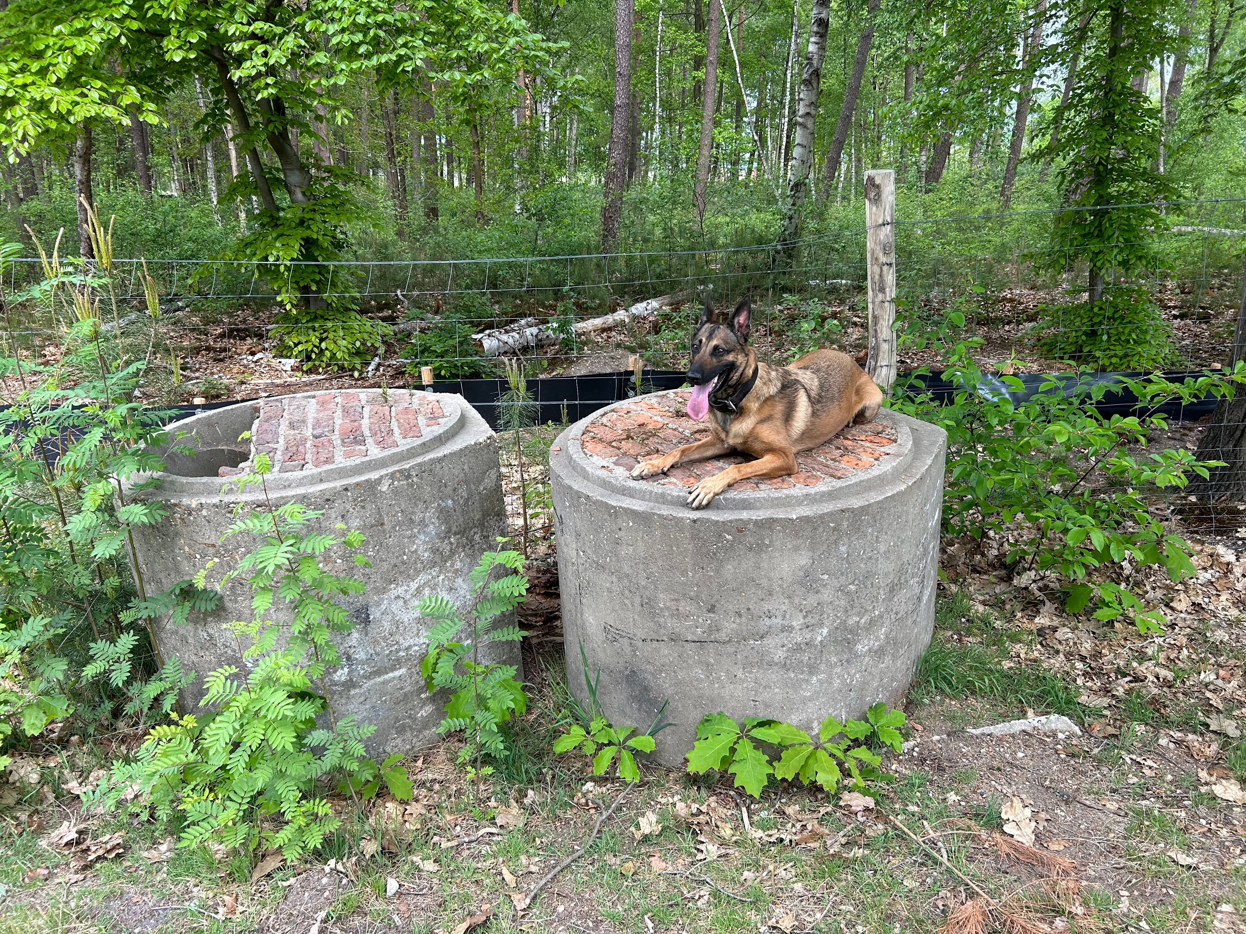 image-10