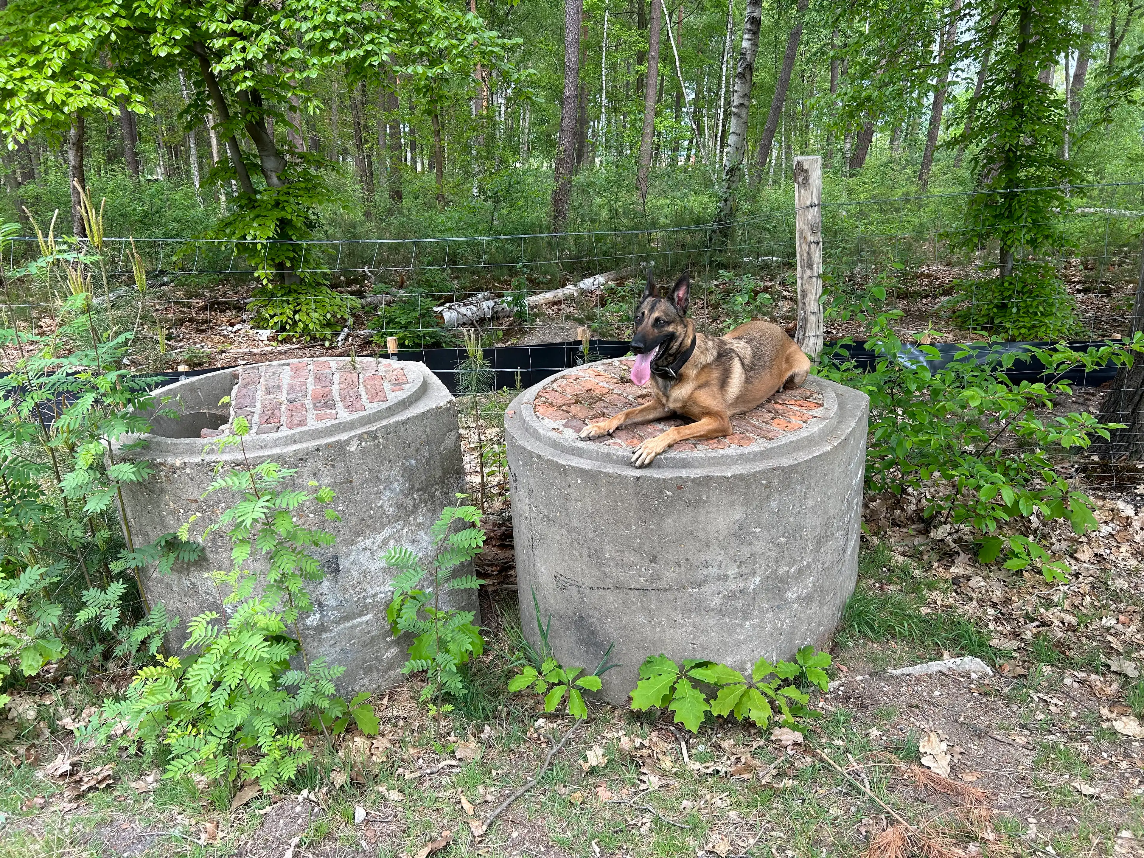 image-10