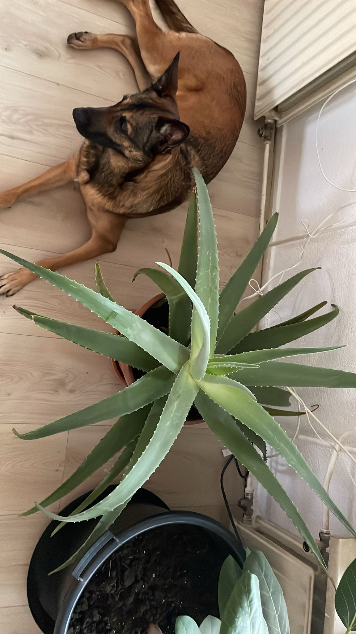 image-18
