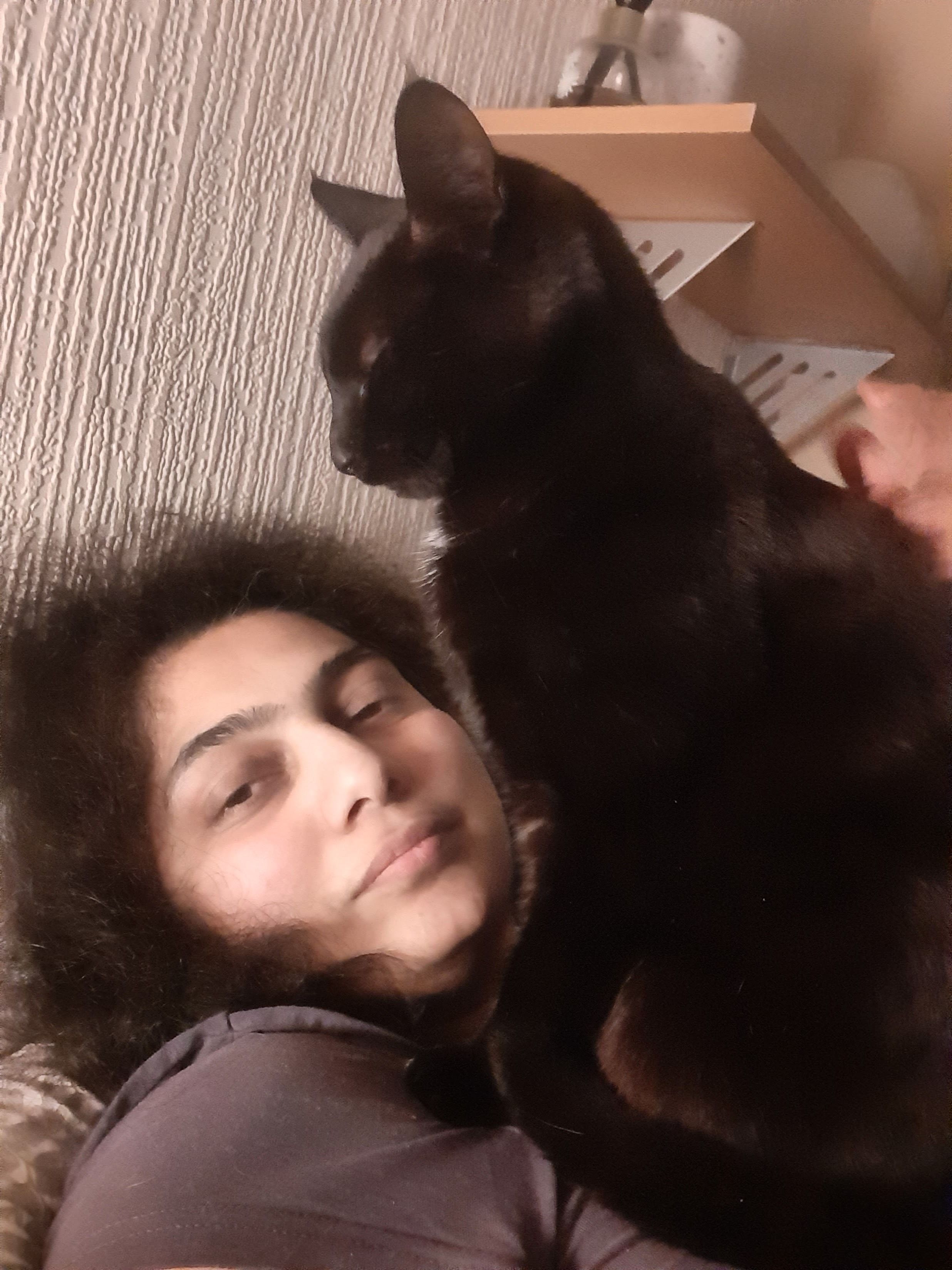 image-6