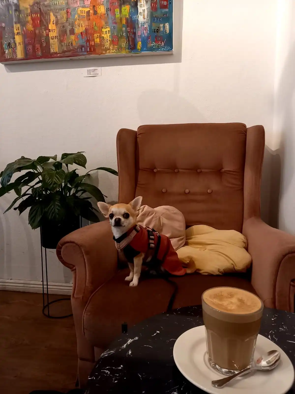 image-12