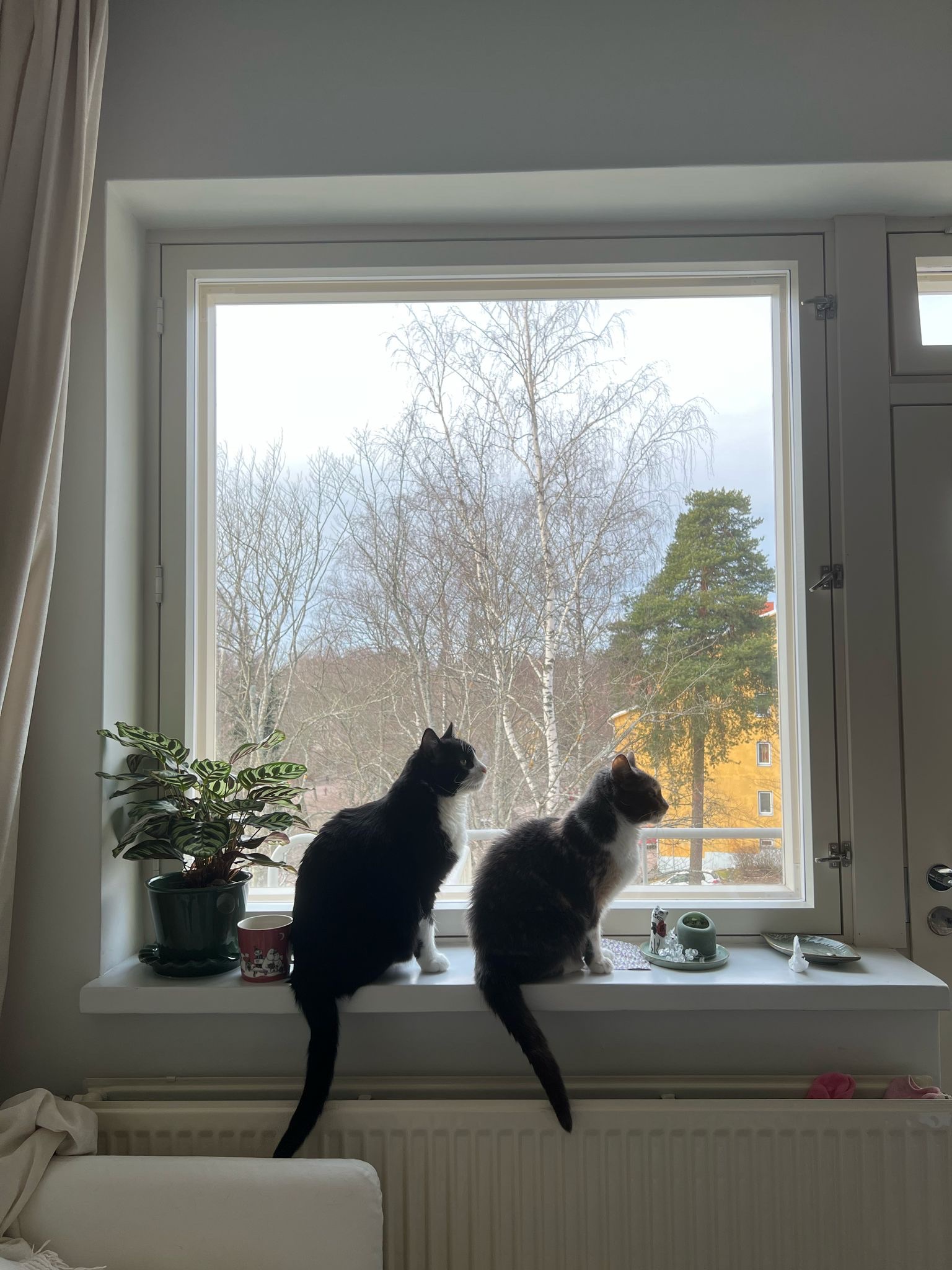 image-18