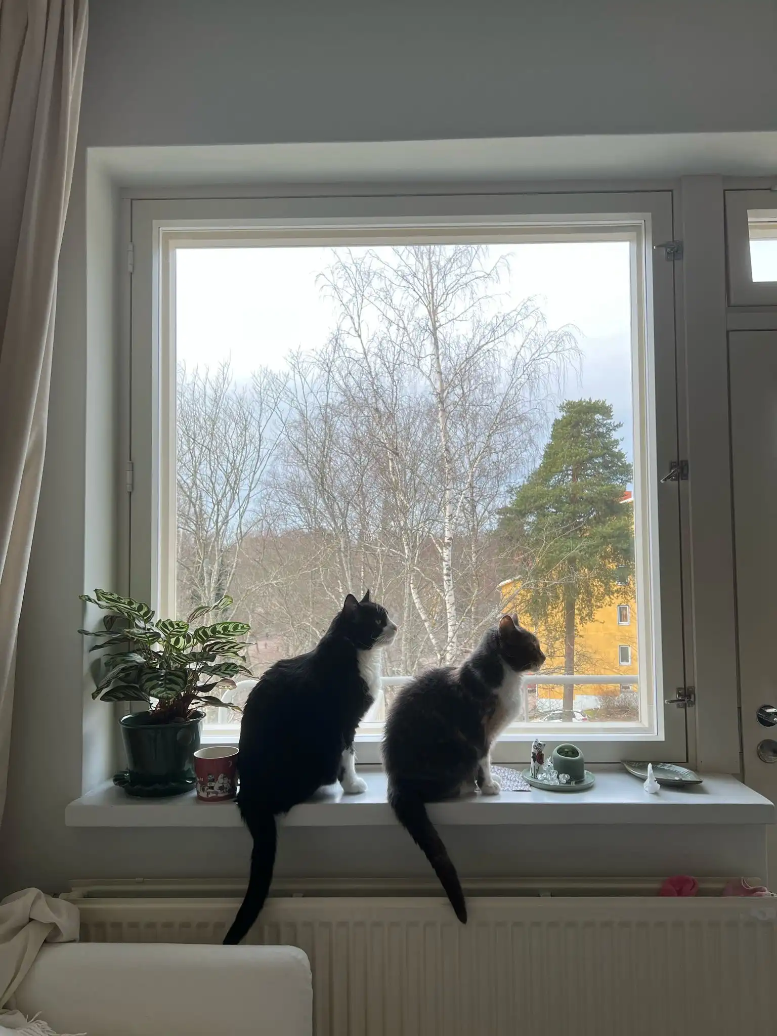 image-18