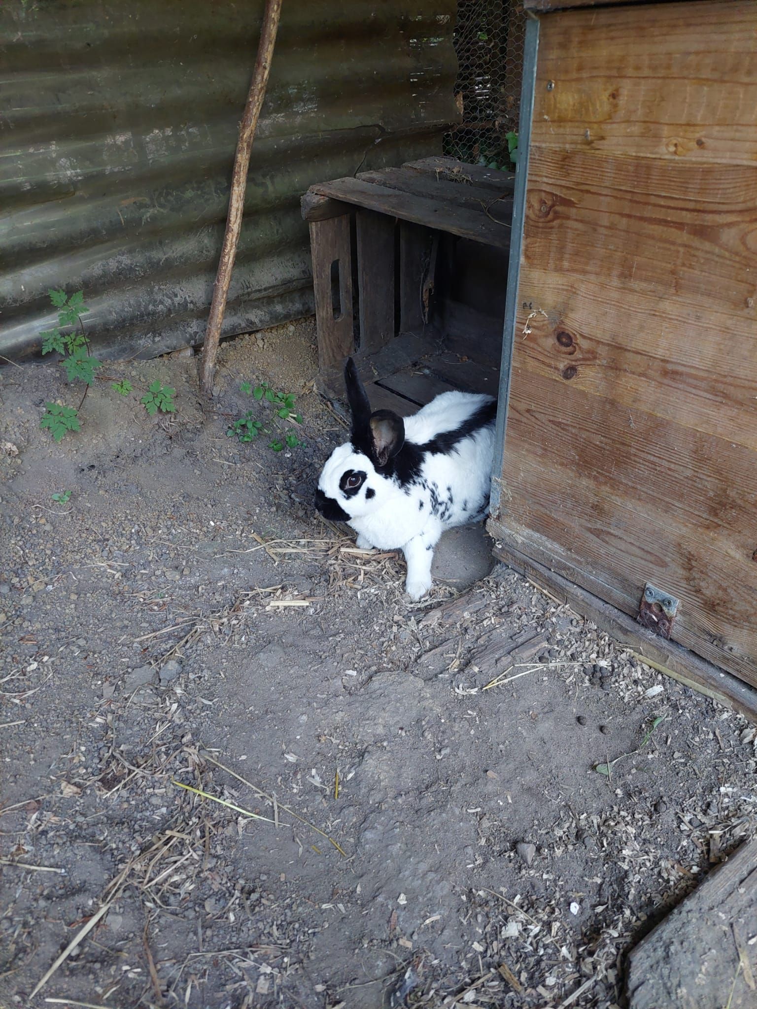 image-7