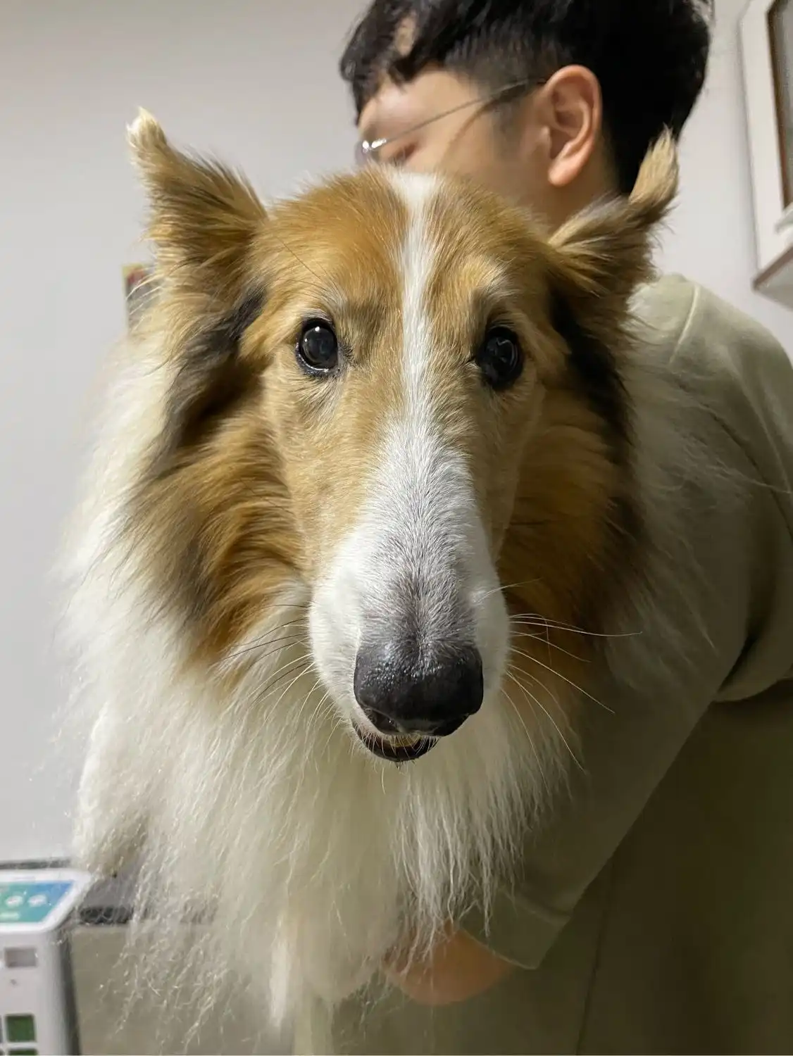 image-5