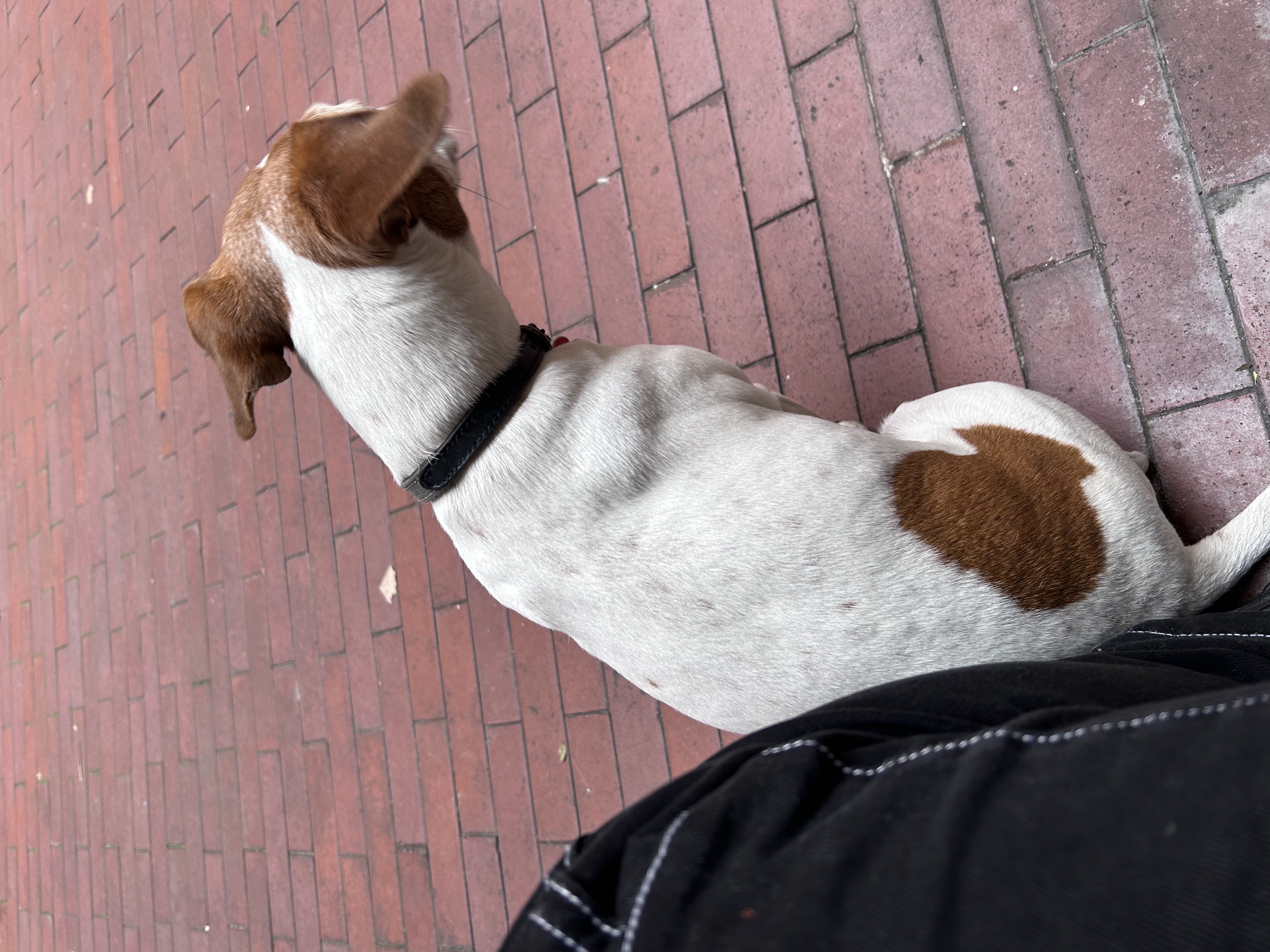 image-7