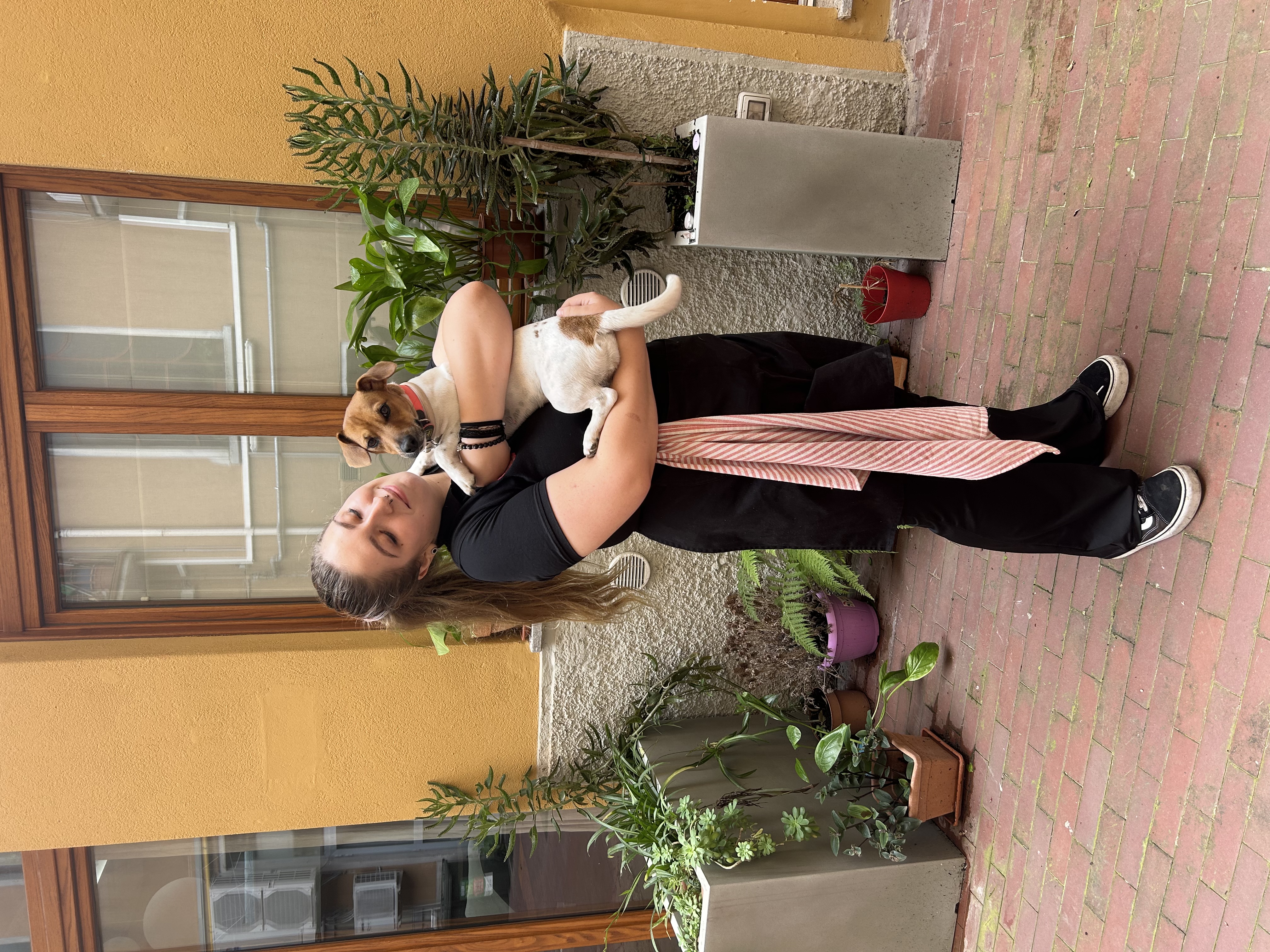 image-4