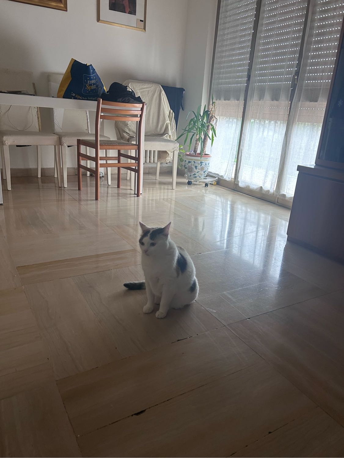 image-10