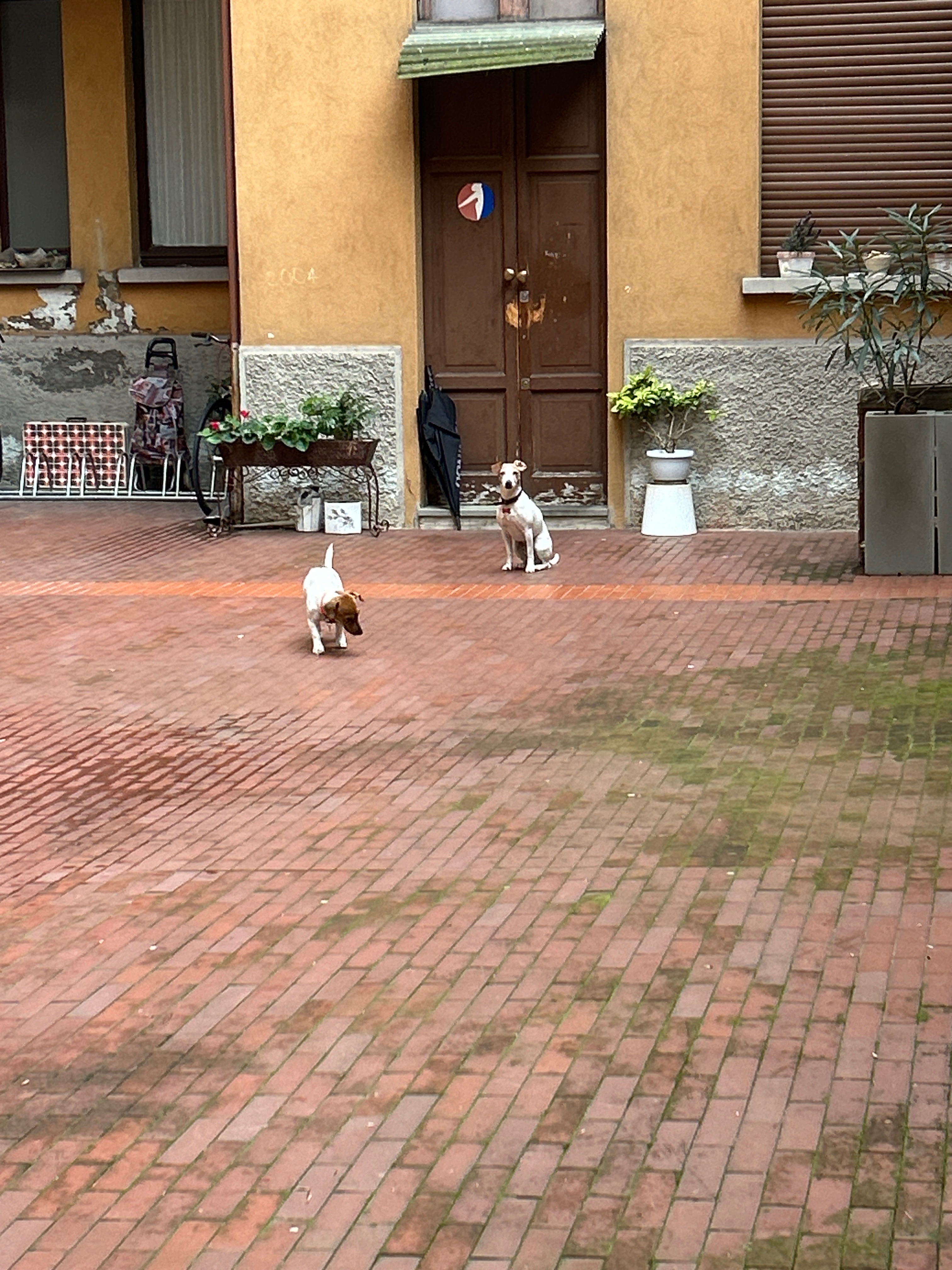 image-14
