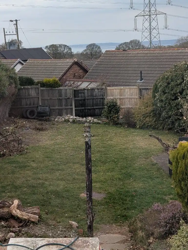 image-15