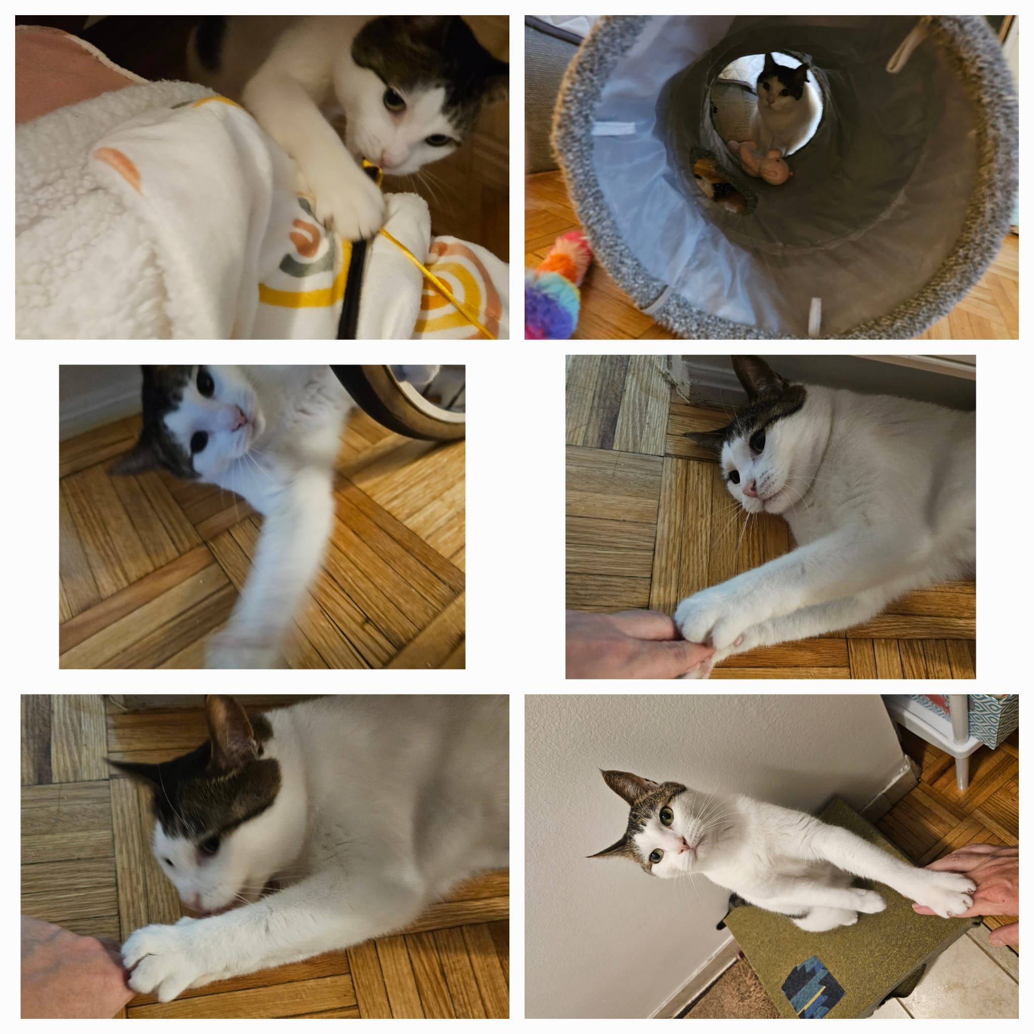 image-11