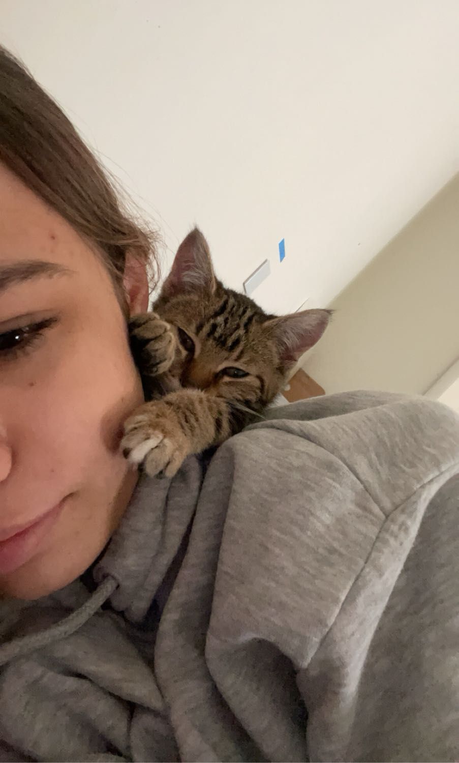 image-6