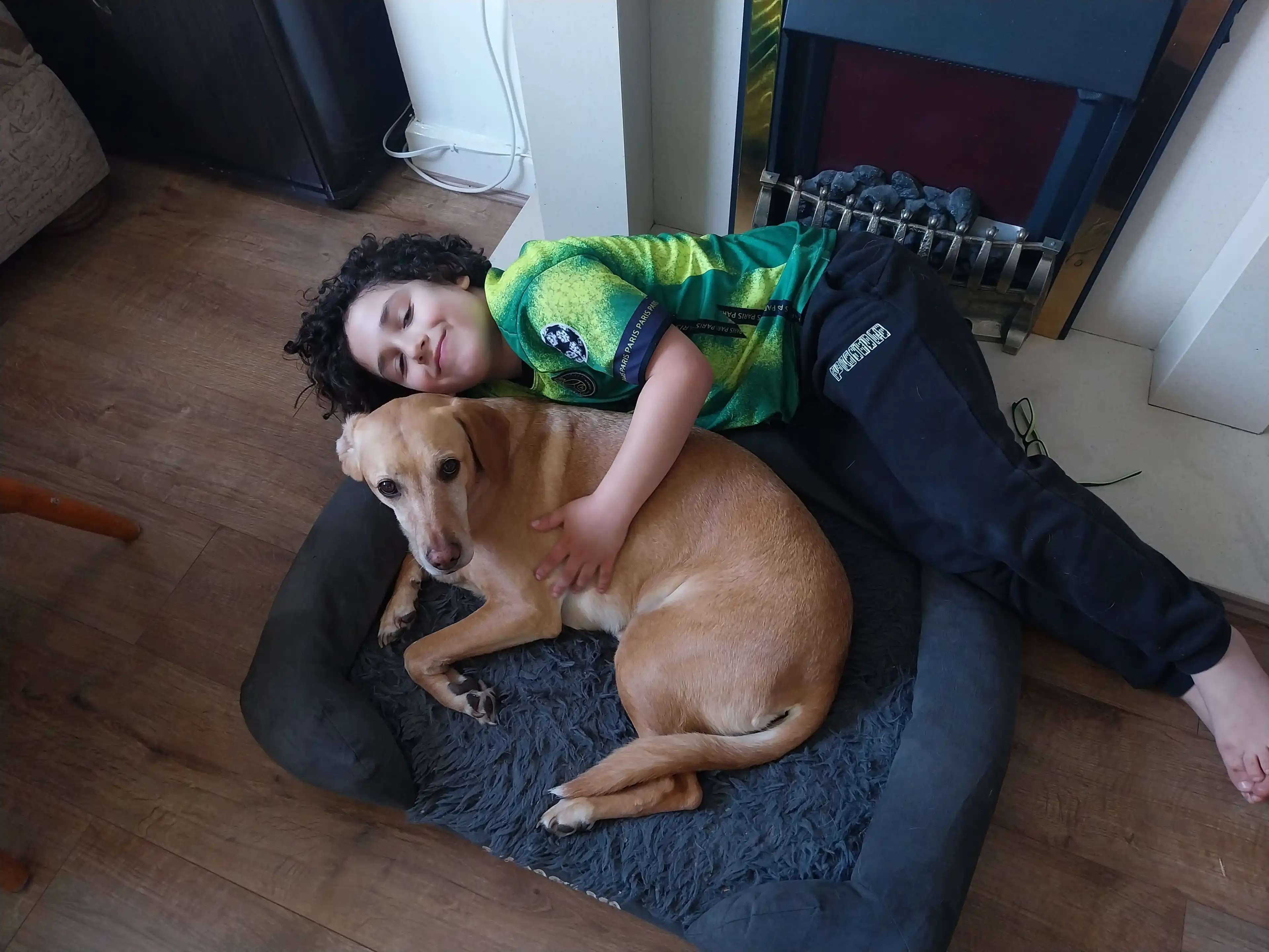 image-8