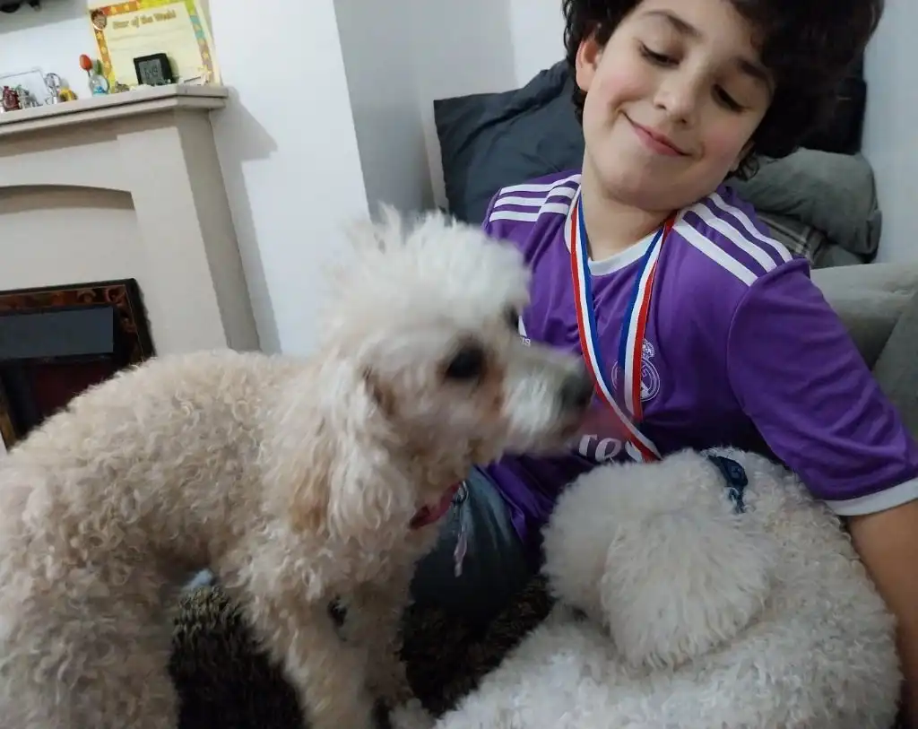 image-43