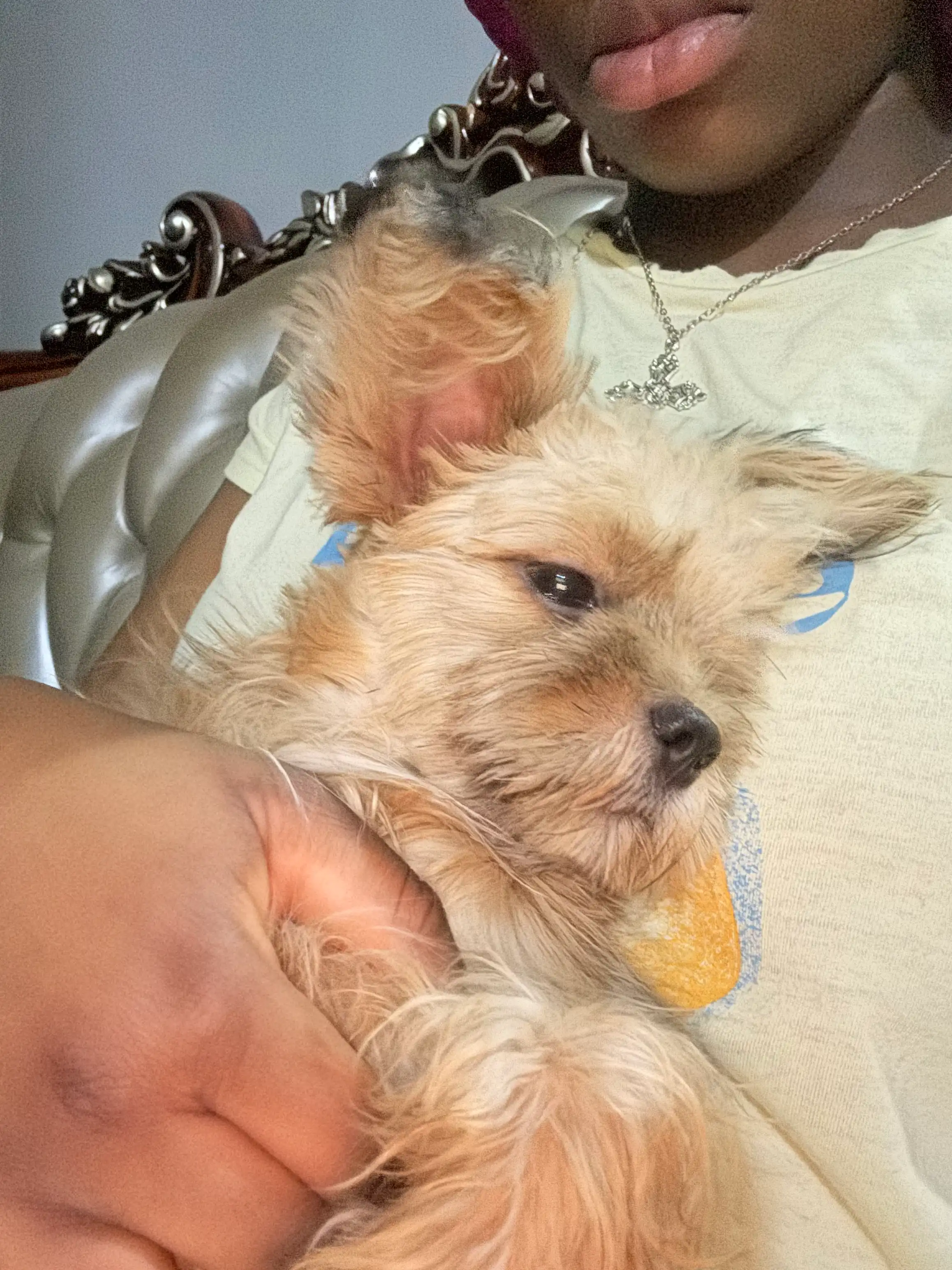 image-8