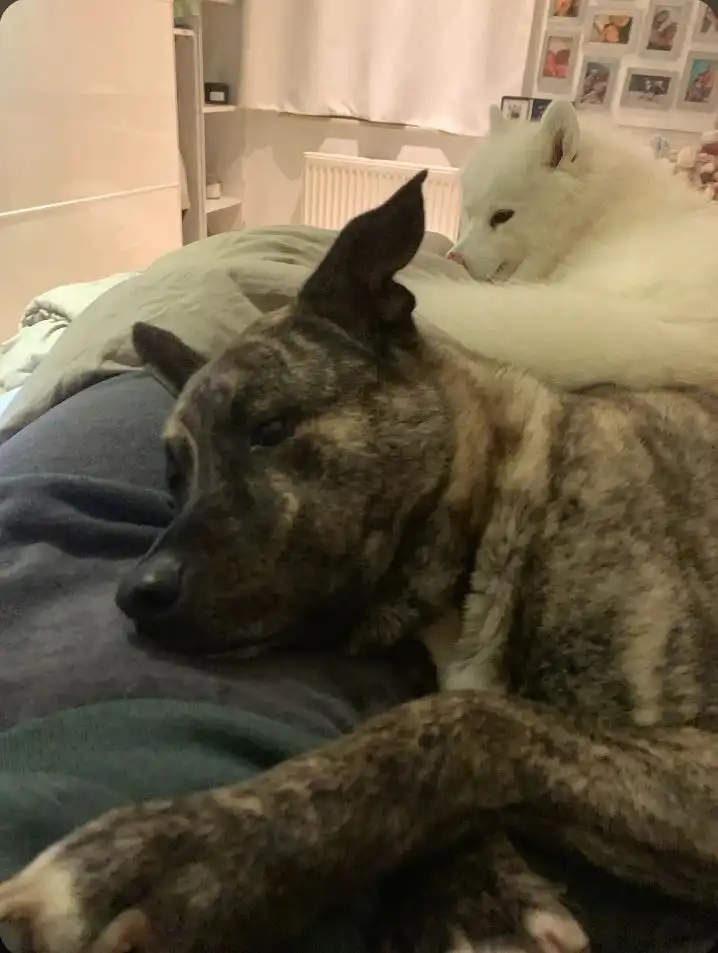 image-6