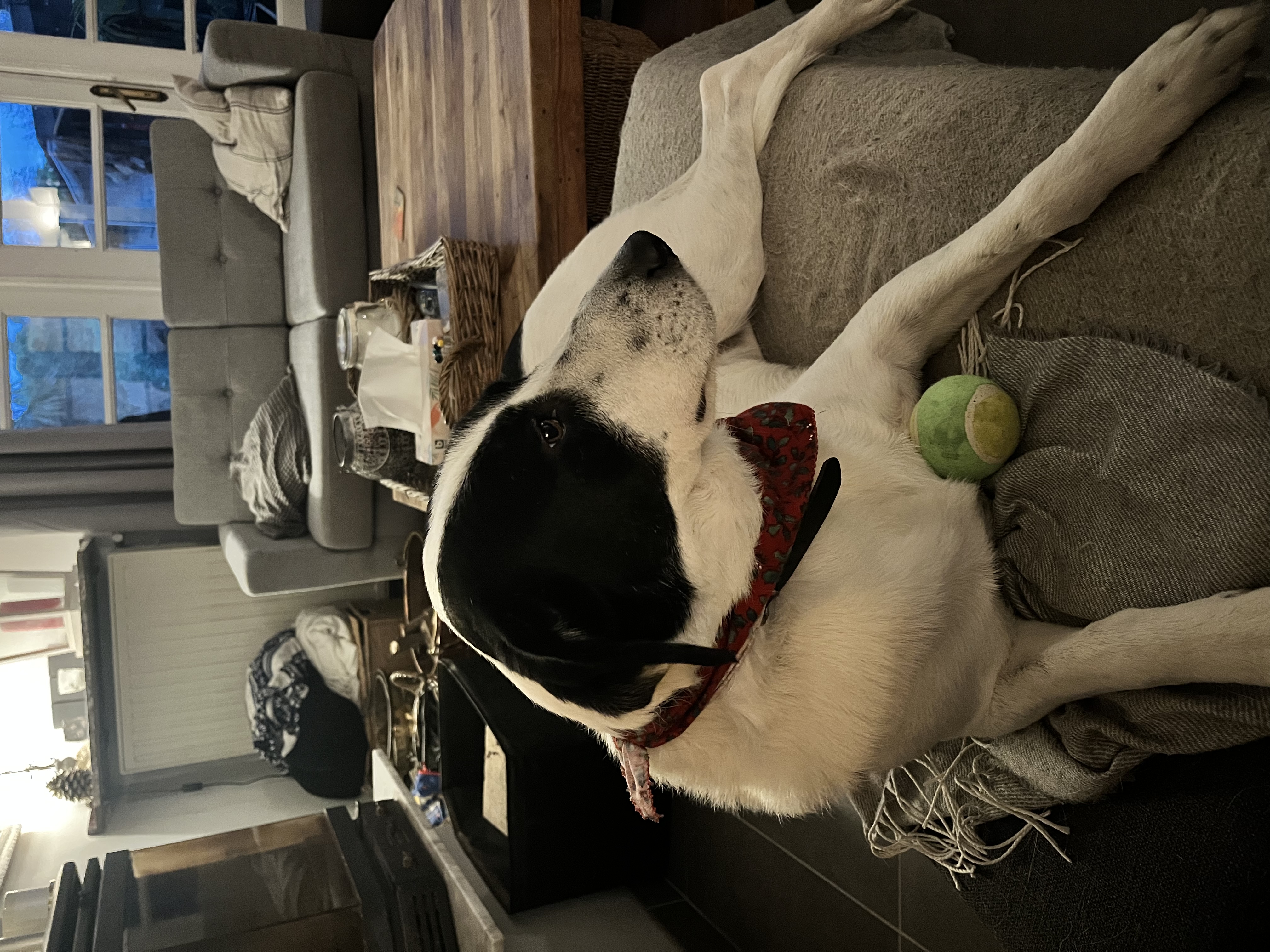 image-7