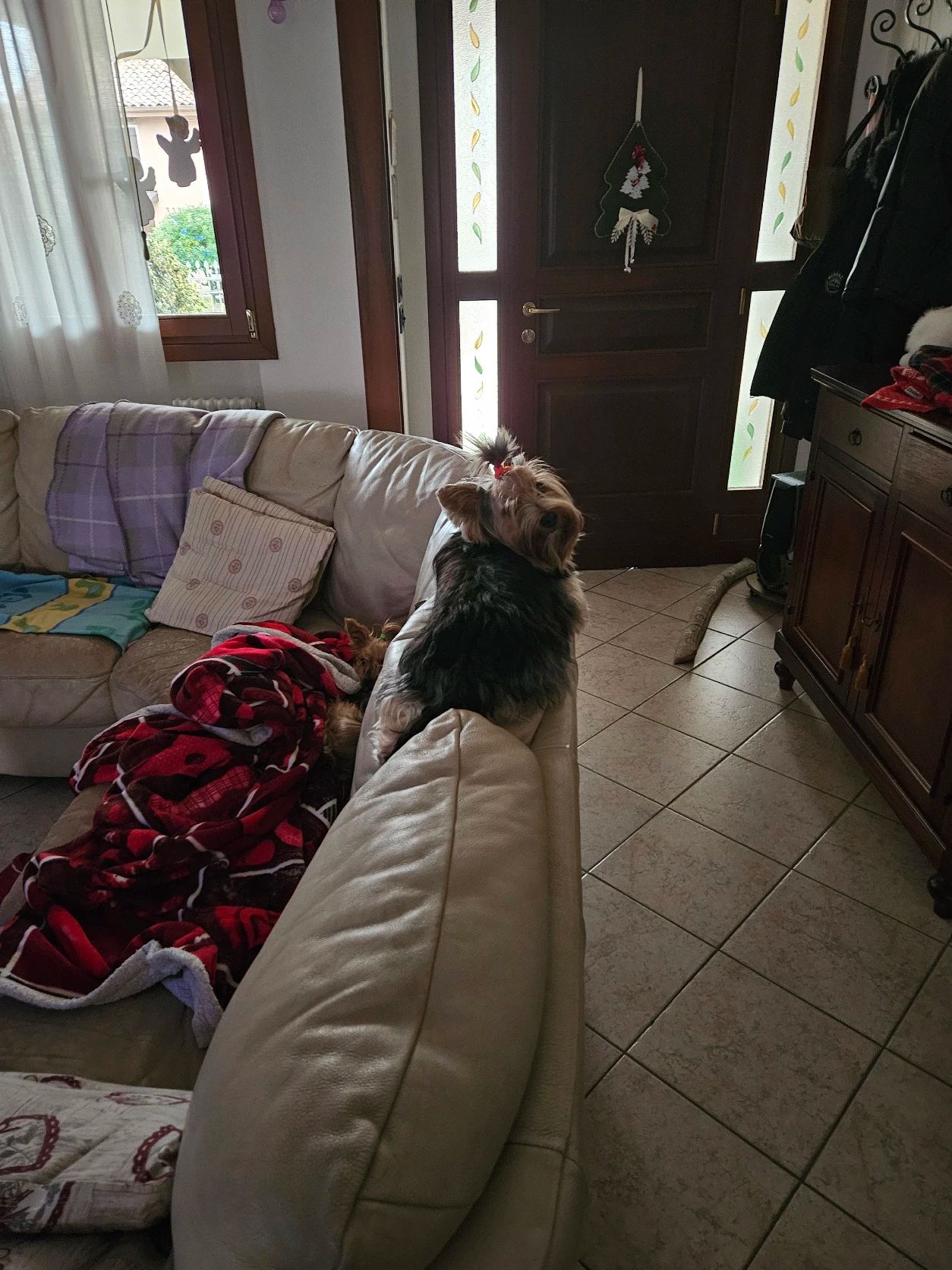 image-23