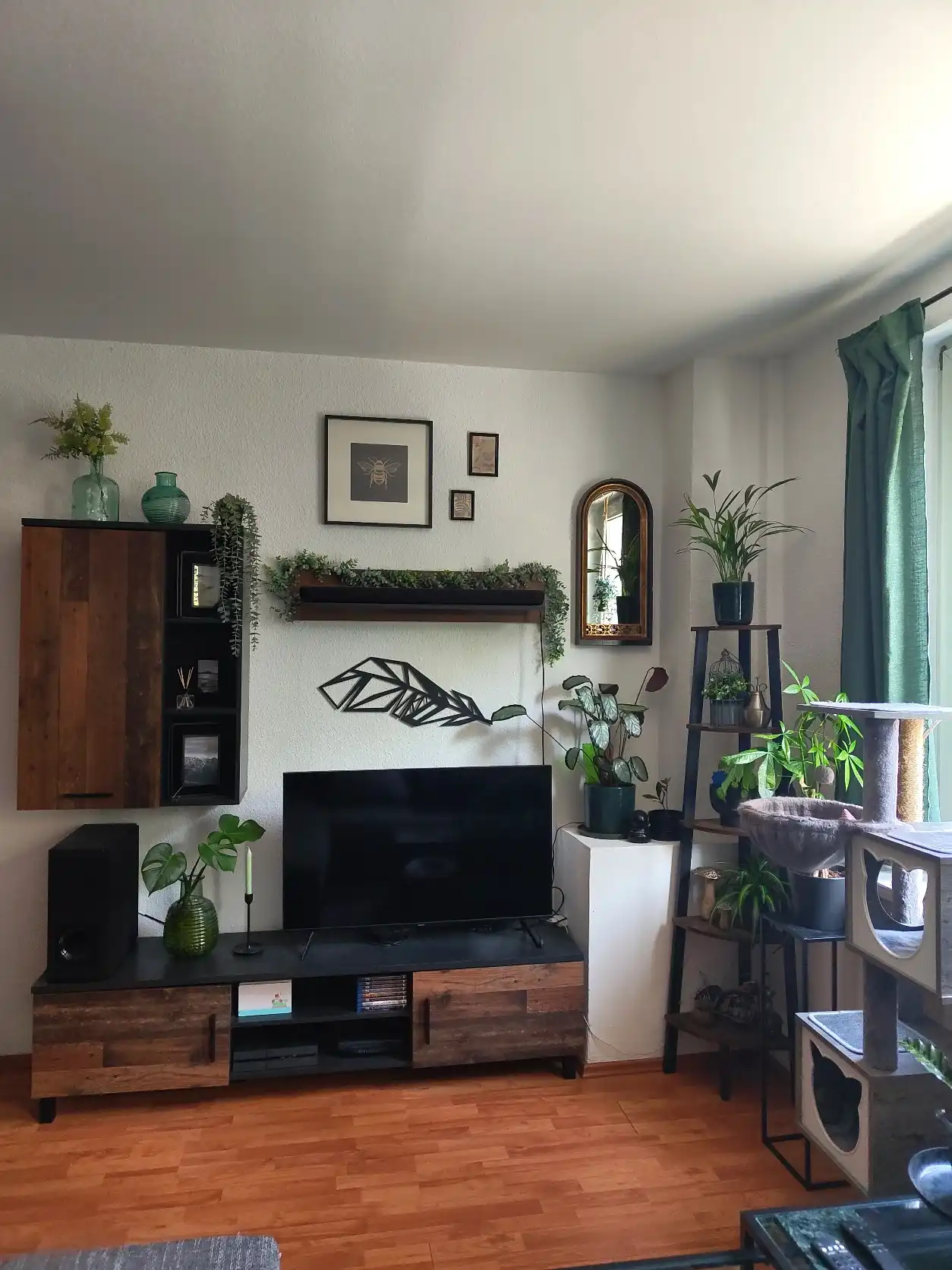 image-8
