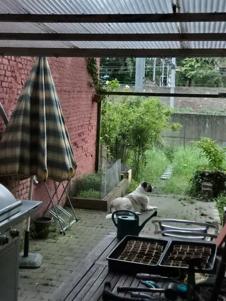 image-7