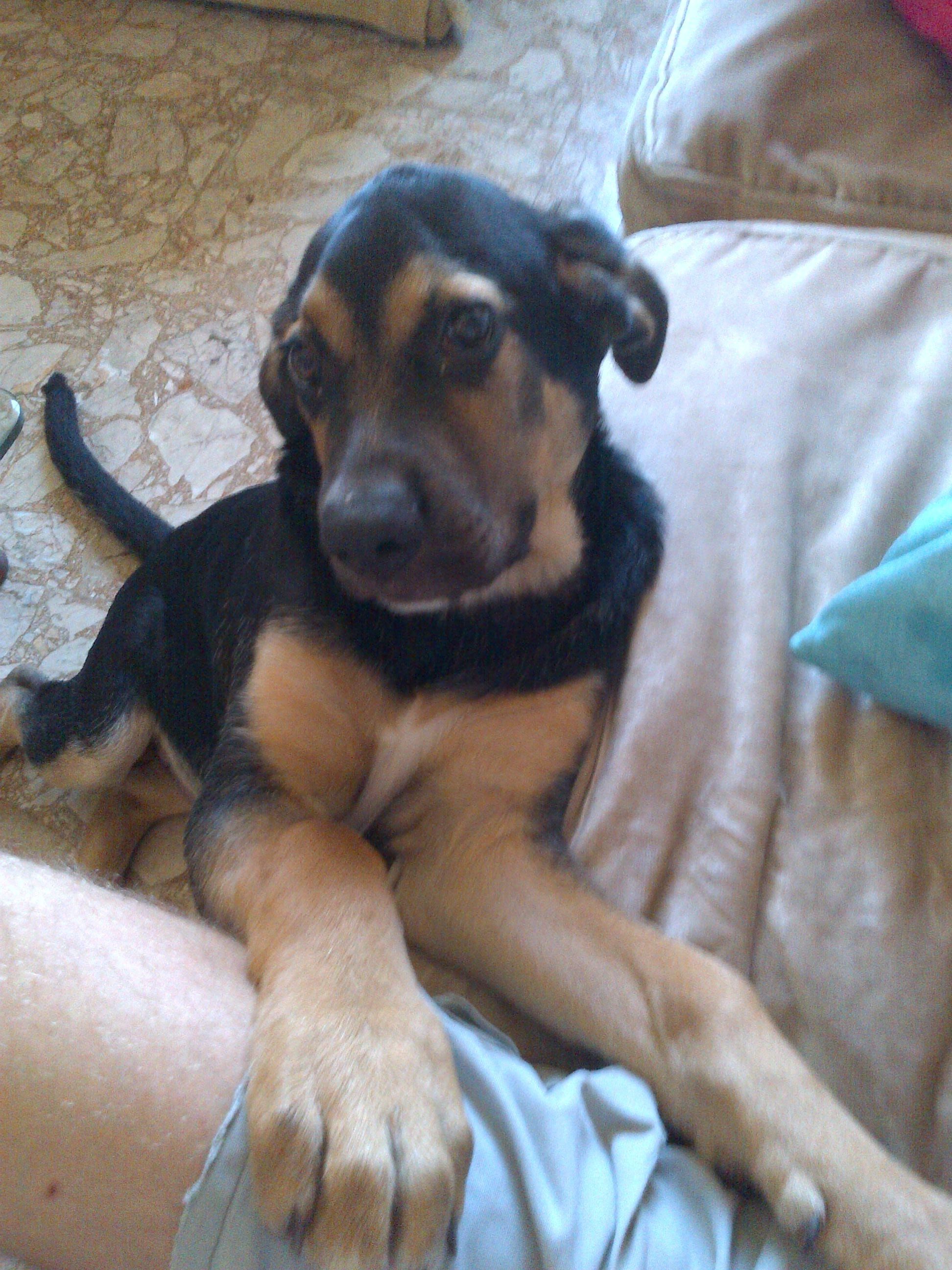 image-8