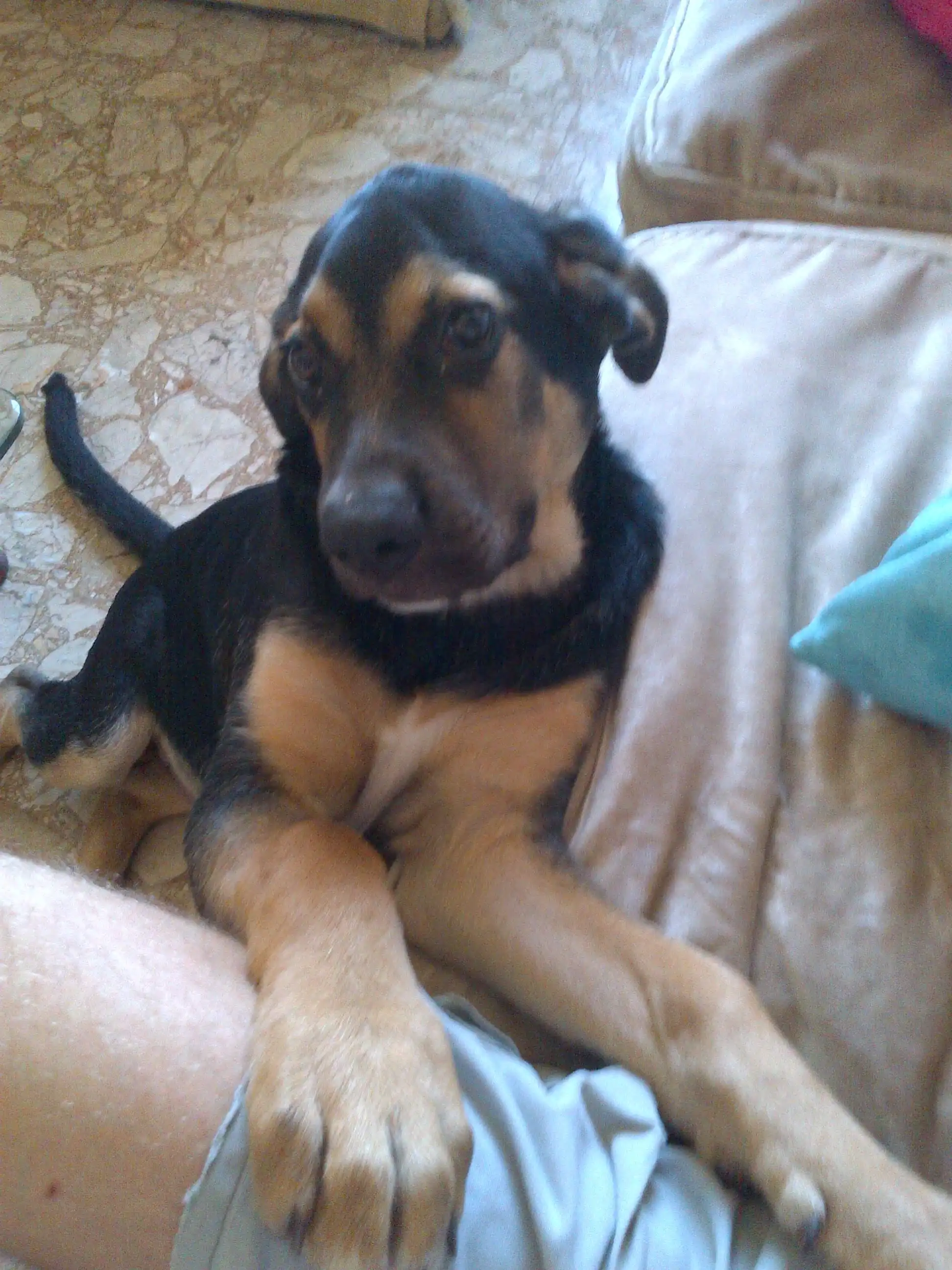 image-8