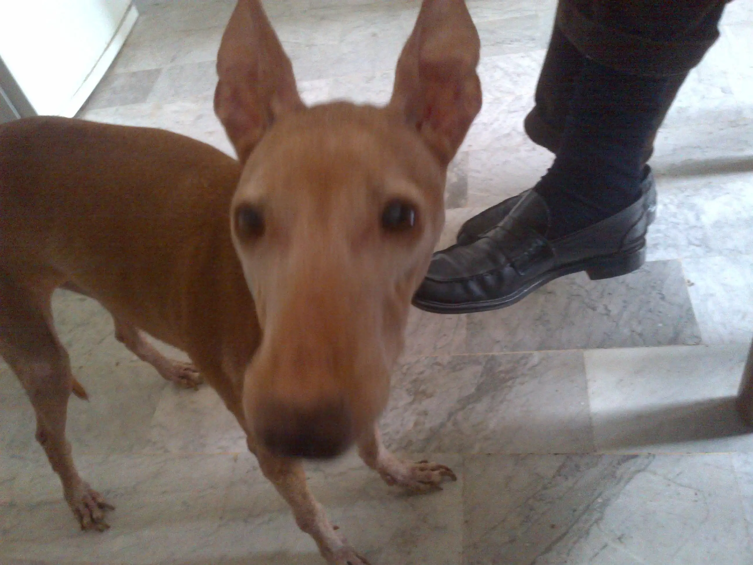 image-7