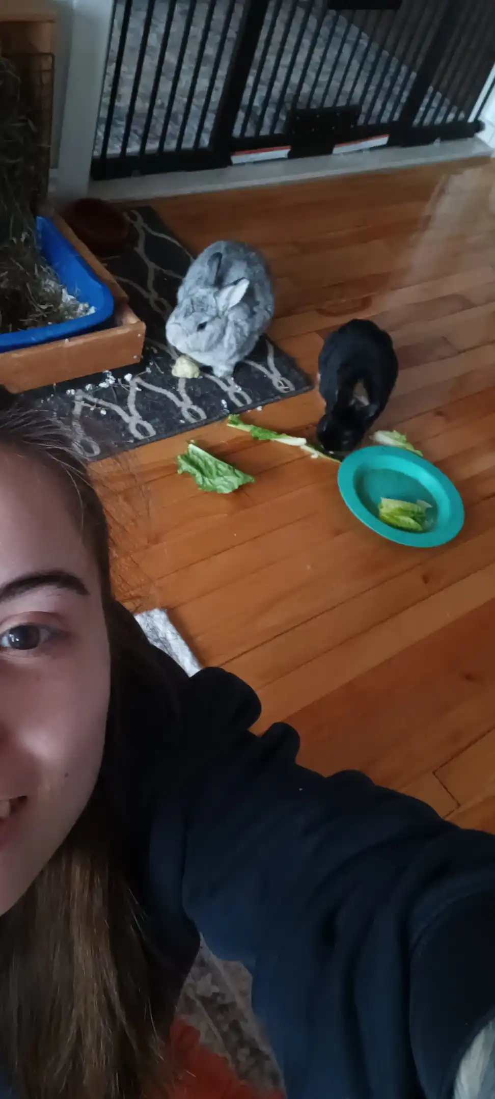 image-7