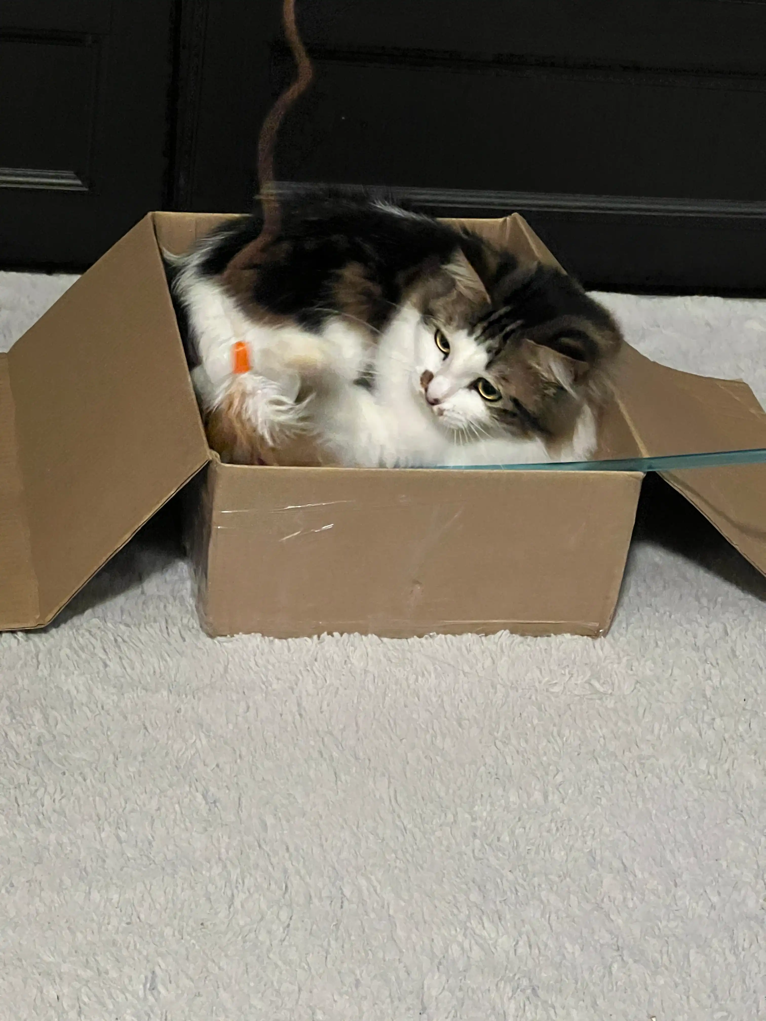 image-8