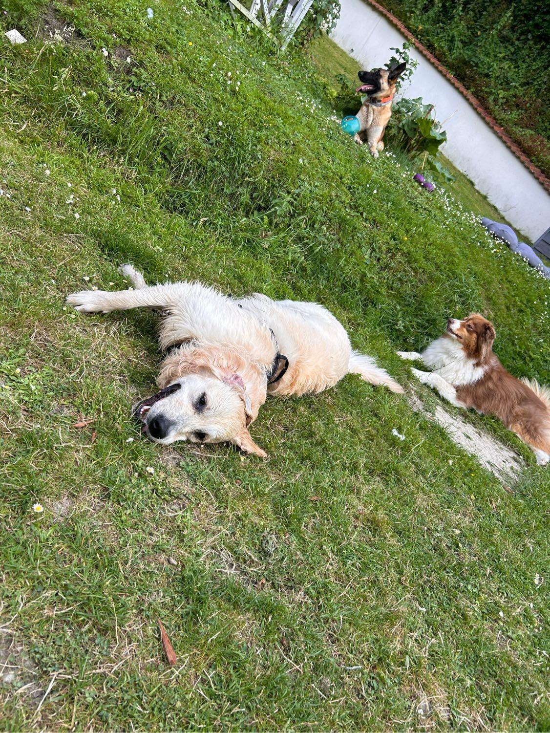 image-6